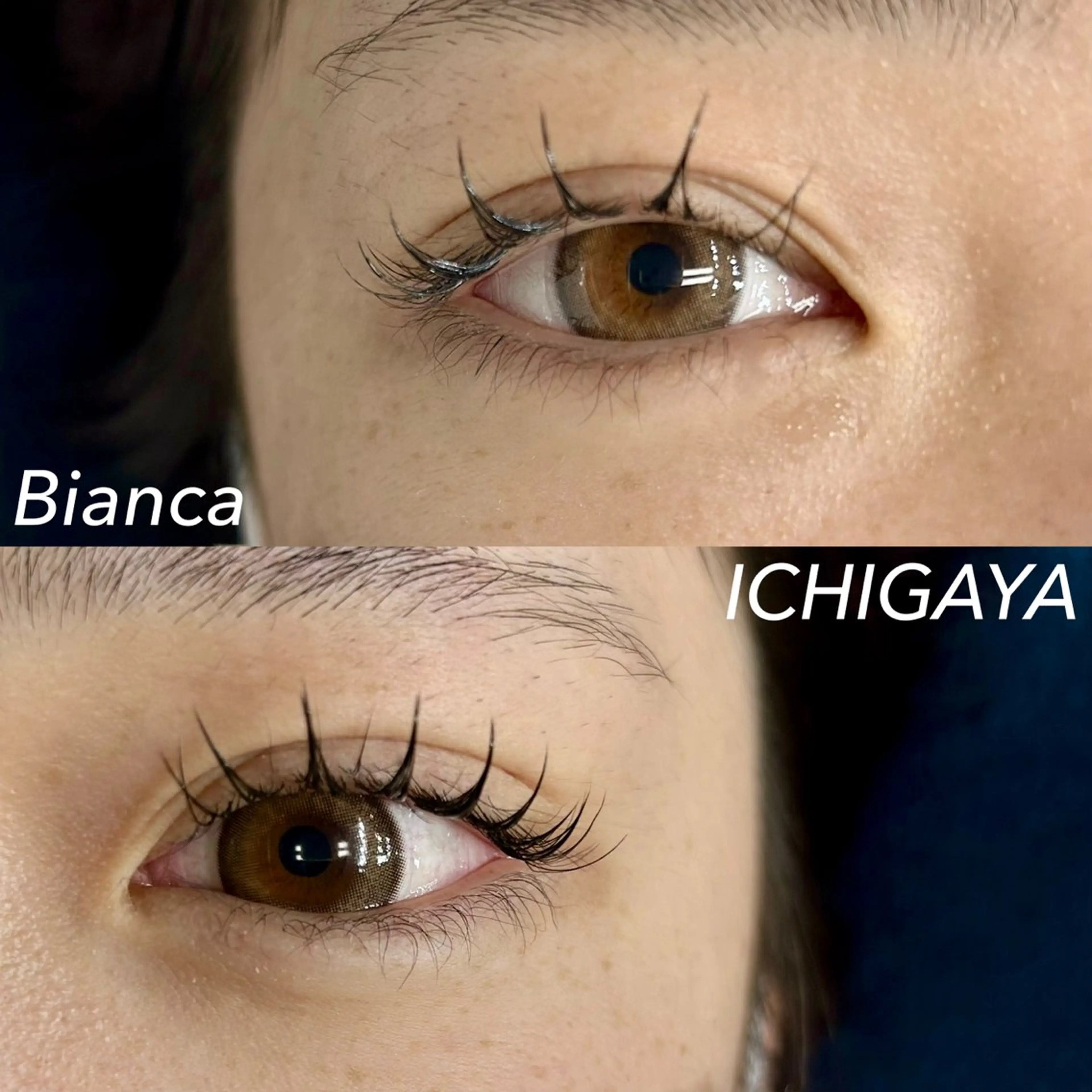 マツエク・マツパ 束感まつ毛 フラットラッシュ まつげパーマ Bianca 市ヶ谷 森川‪ 💗のマツエク・マツパデザイン