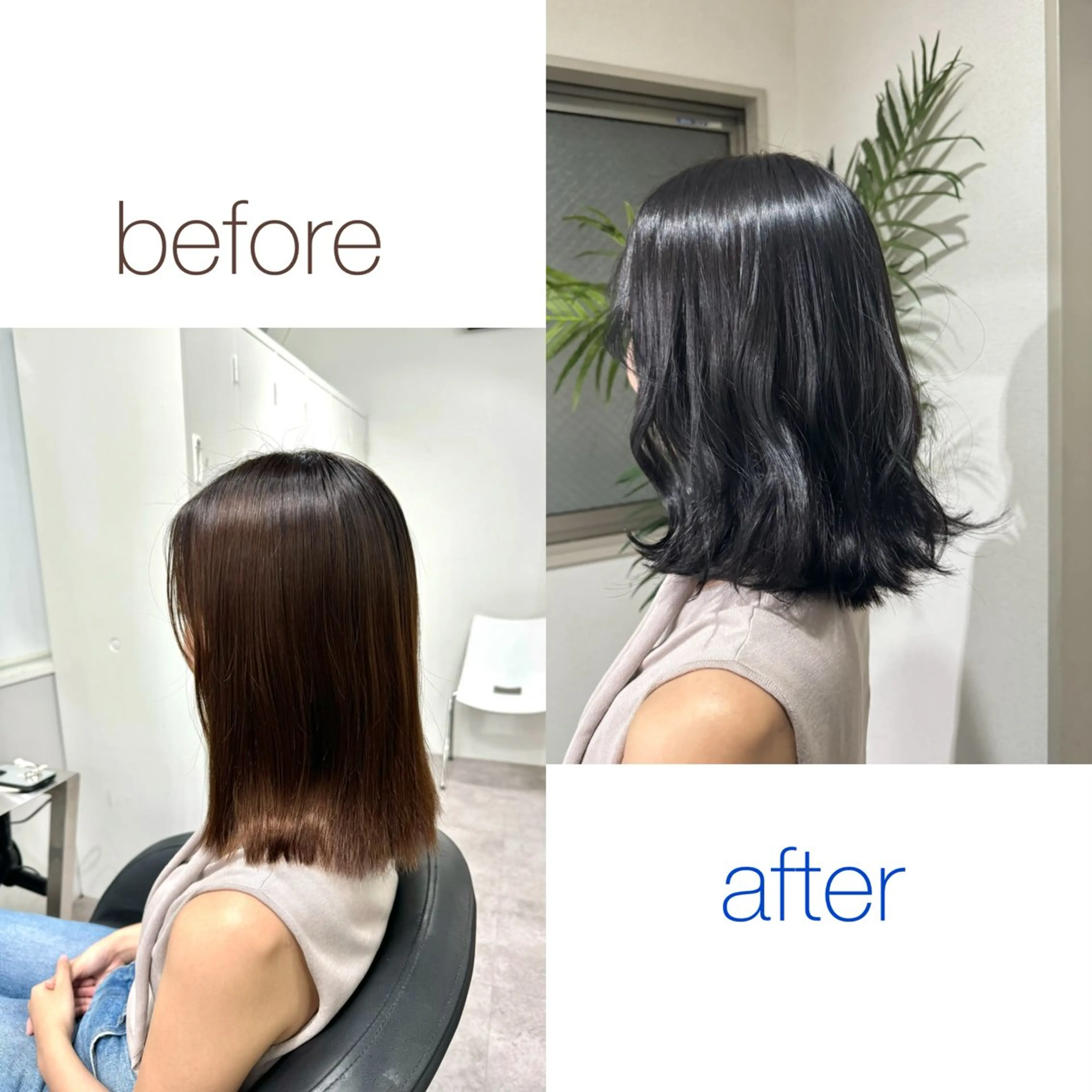 カラー アッシュ 黒髪 ブルーカラー ブルーブラック 透明感カラー 🍎リンゴ 髪質改善🍎のヘアスタイル