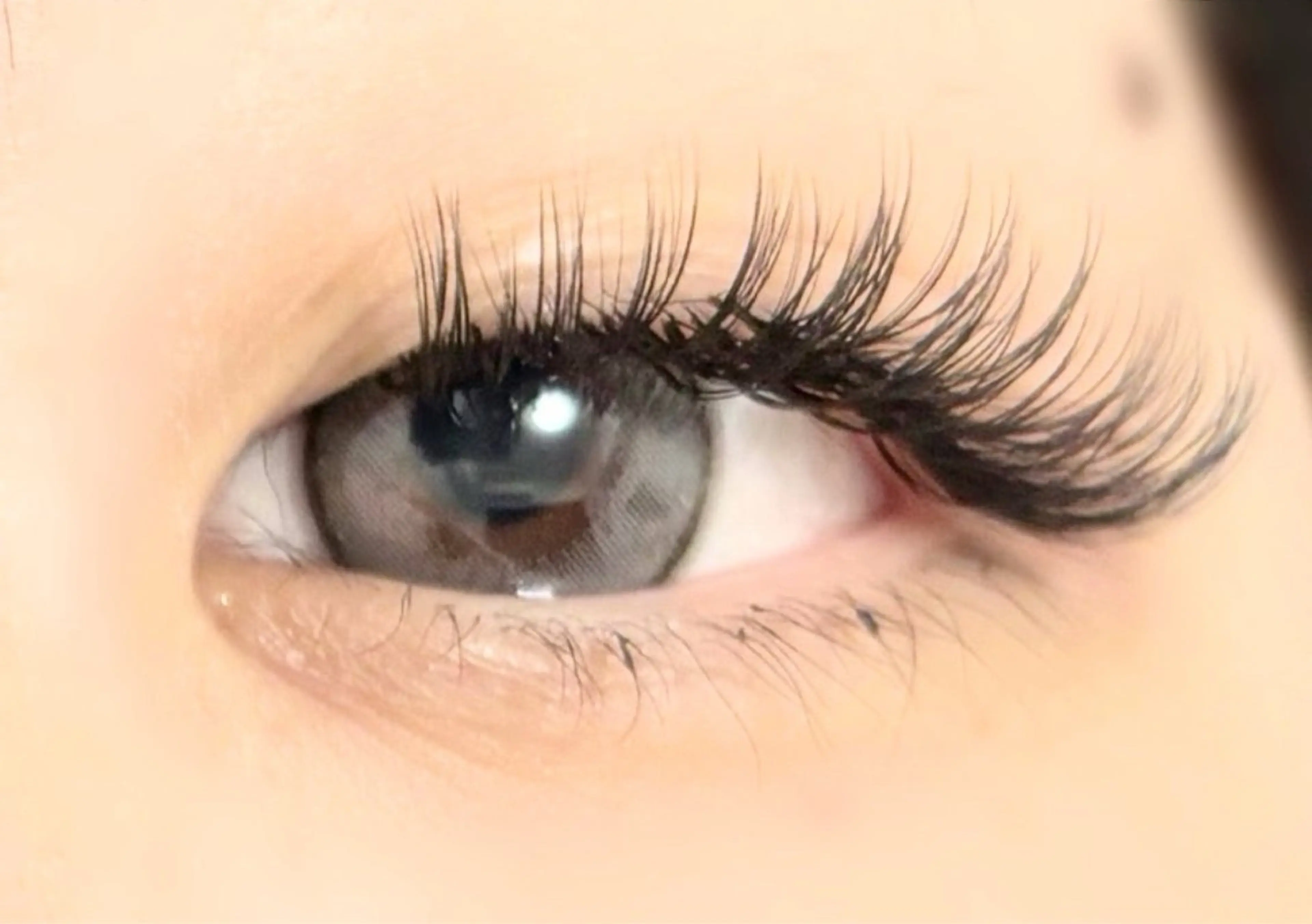 Wフラットラッシュ80束(160本)までの写真