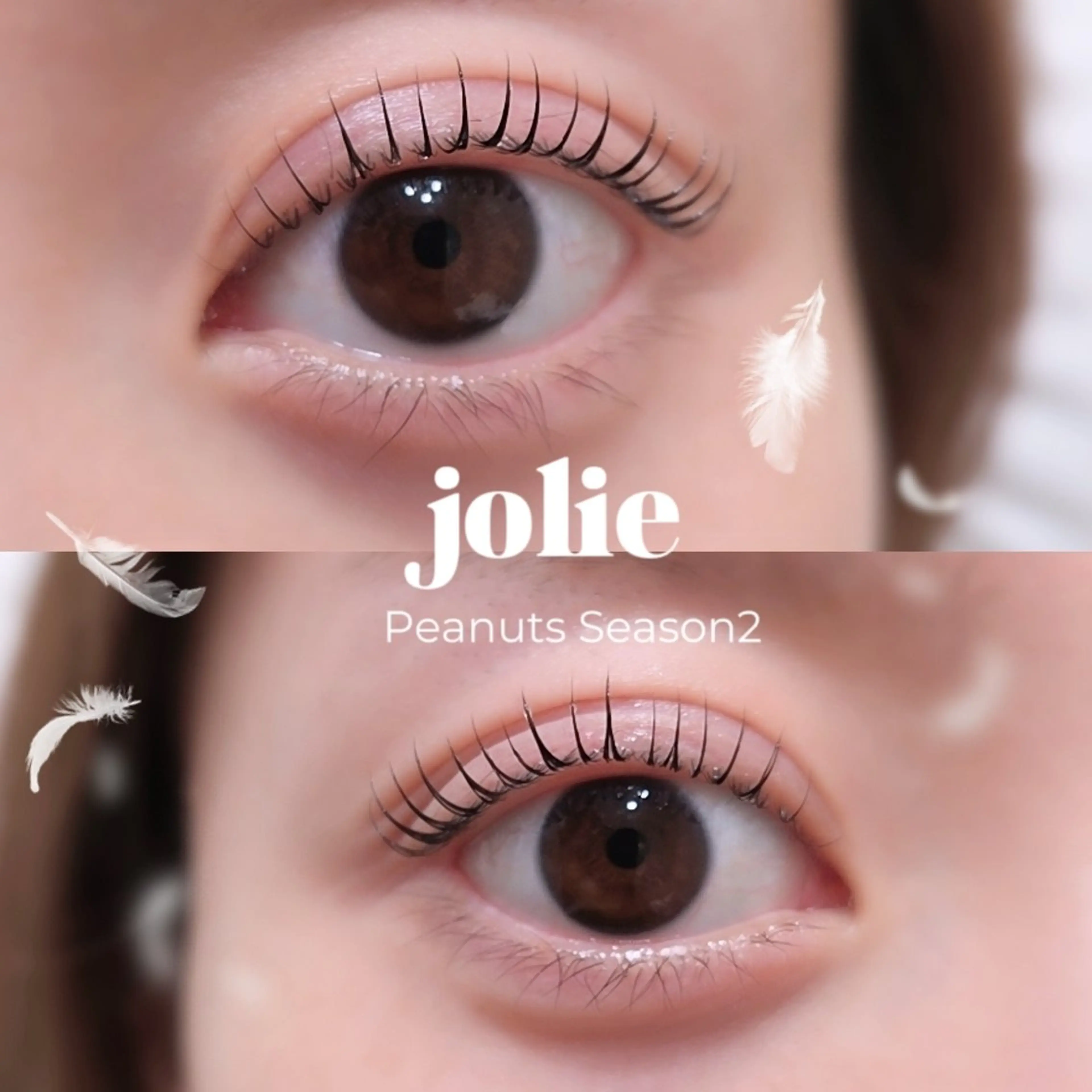 マツエク・マツパ Chisa【店長】 🌿jolie 栄店のマツエク・マツパデザイン