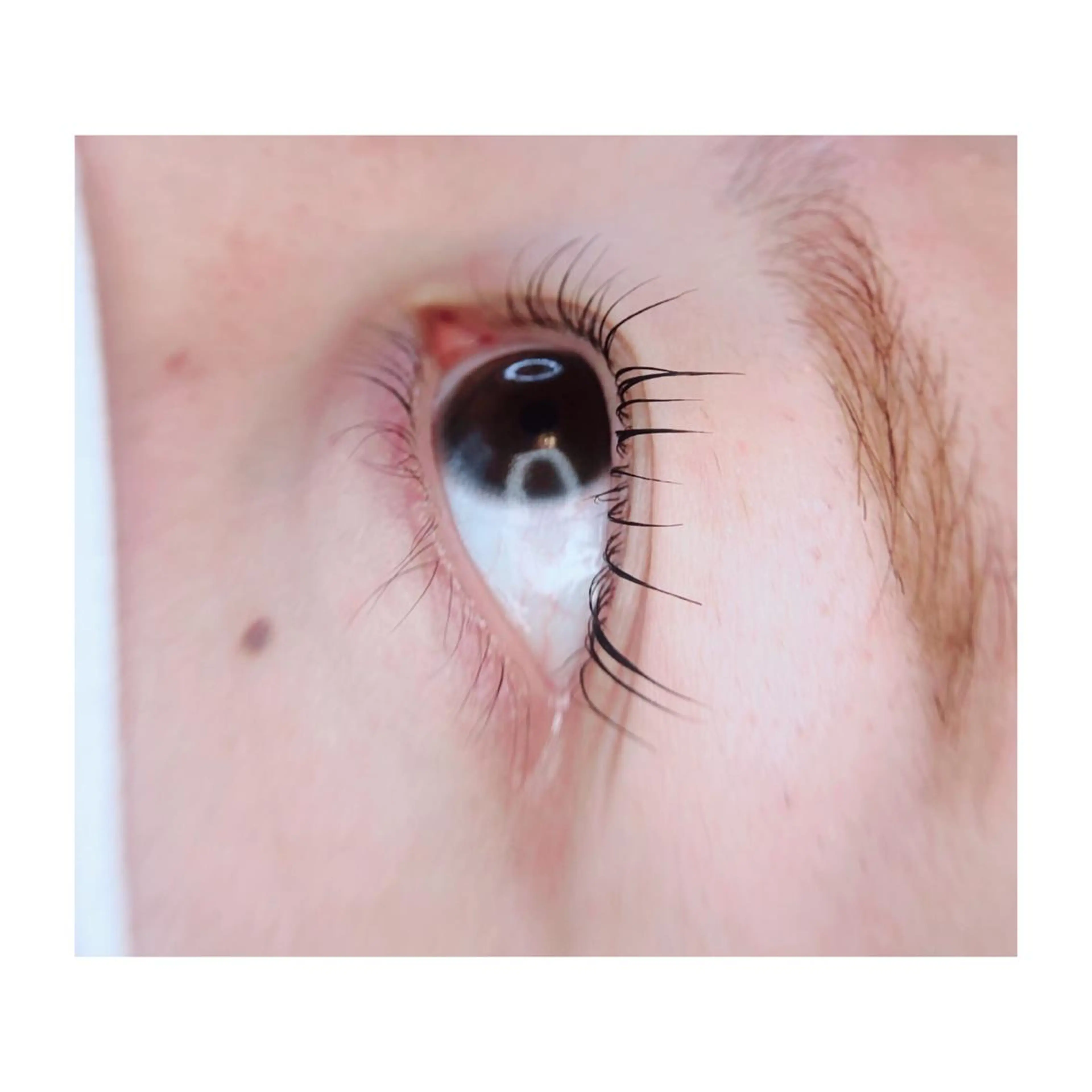 マツエク・マツパ ケラチンラッシュリフト マツパ アイラッシュサロン GREENのマツエク・マツパデザイン