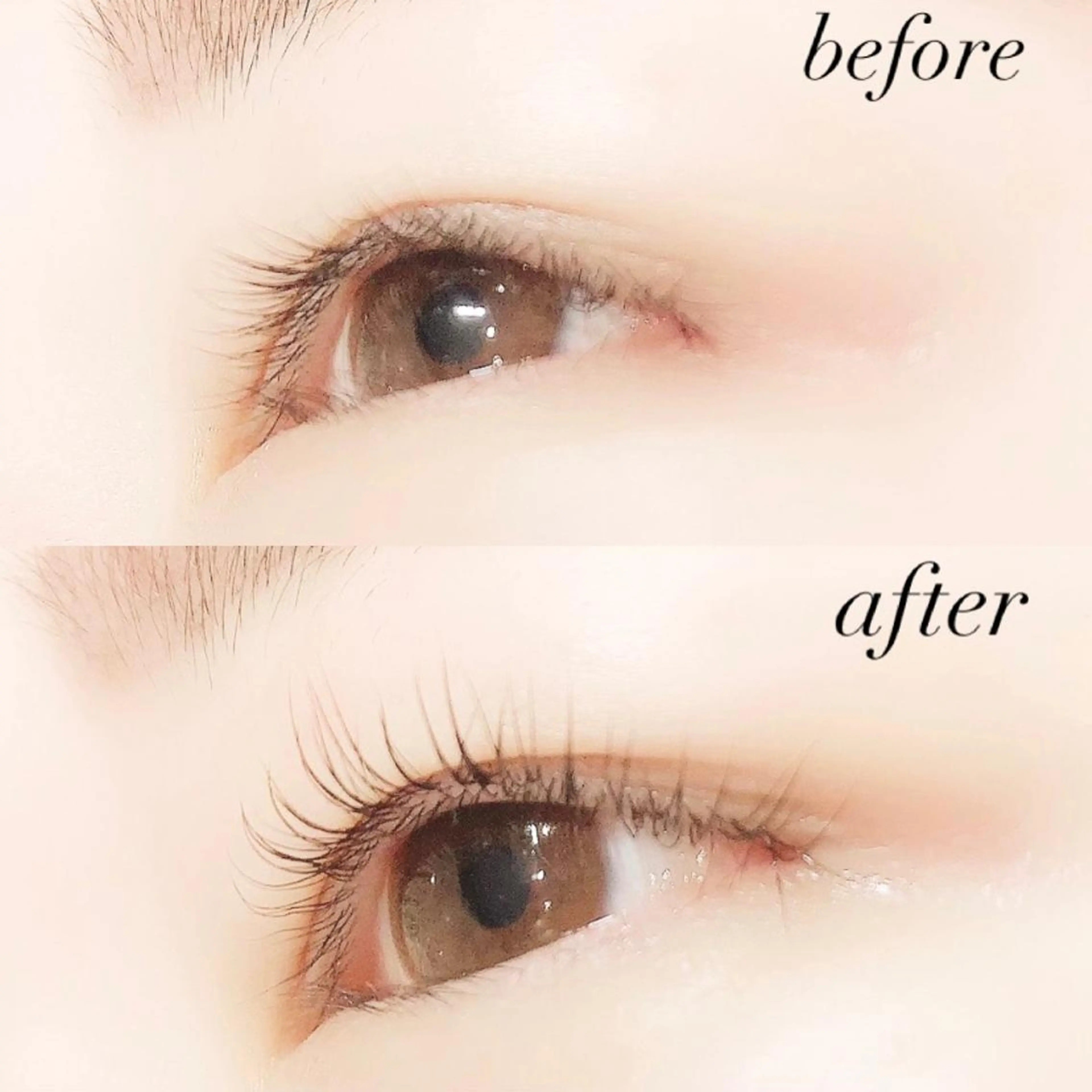 マツエク・マツパ まつげパーマ Lanhr所属・【Lanhr】 🕊aya🕊のマツエク・マツパデザイン