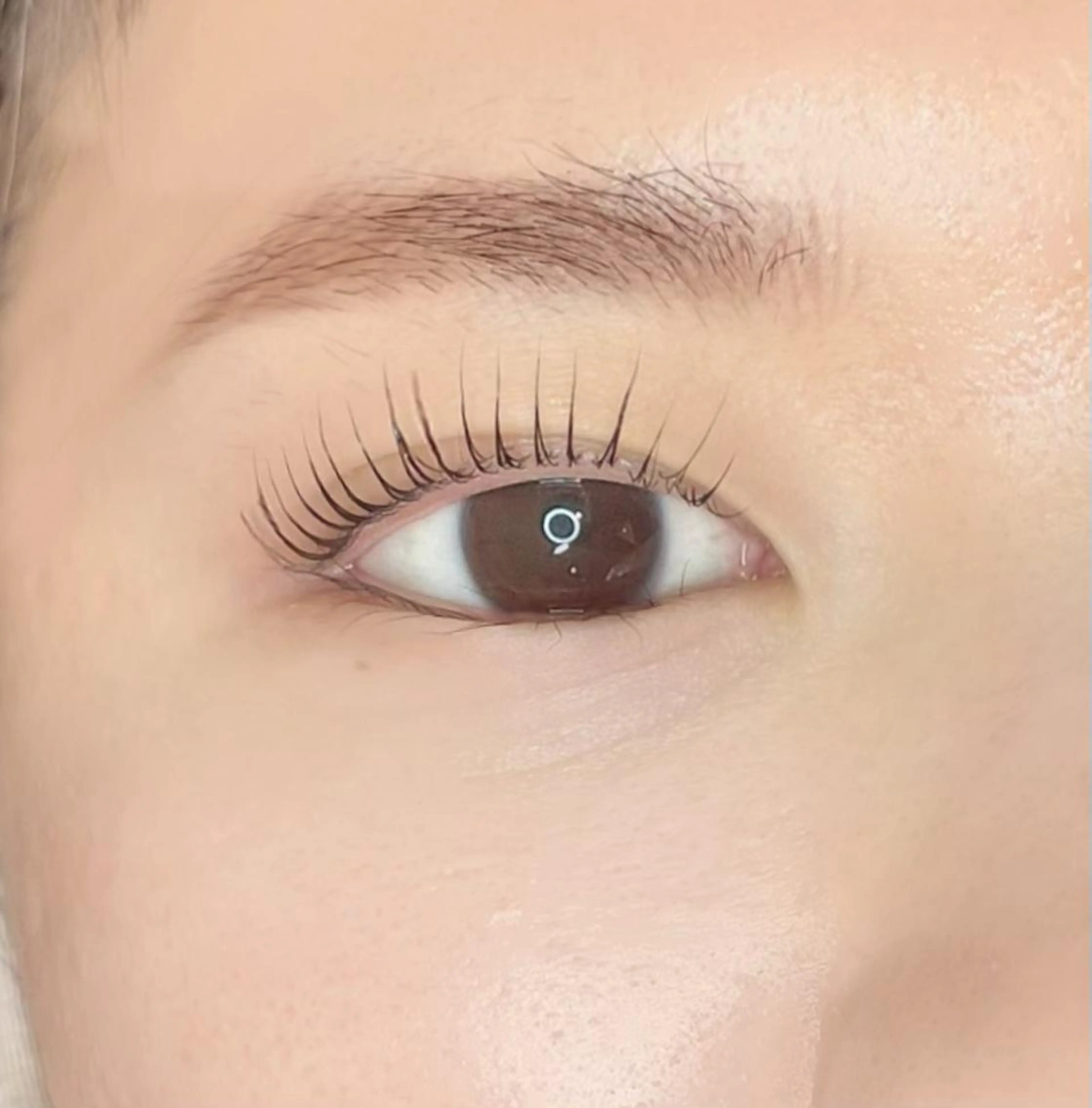 マツエク・マツパ daisy lash 天王寺の眉毛・アイブロウイメージ