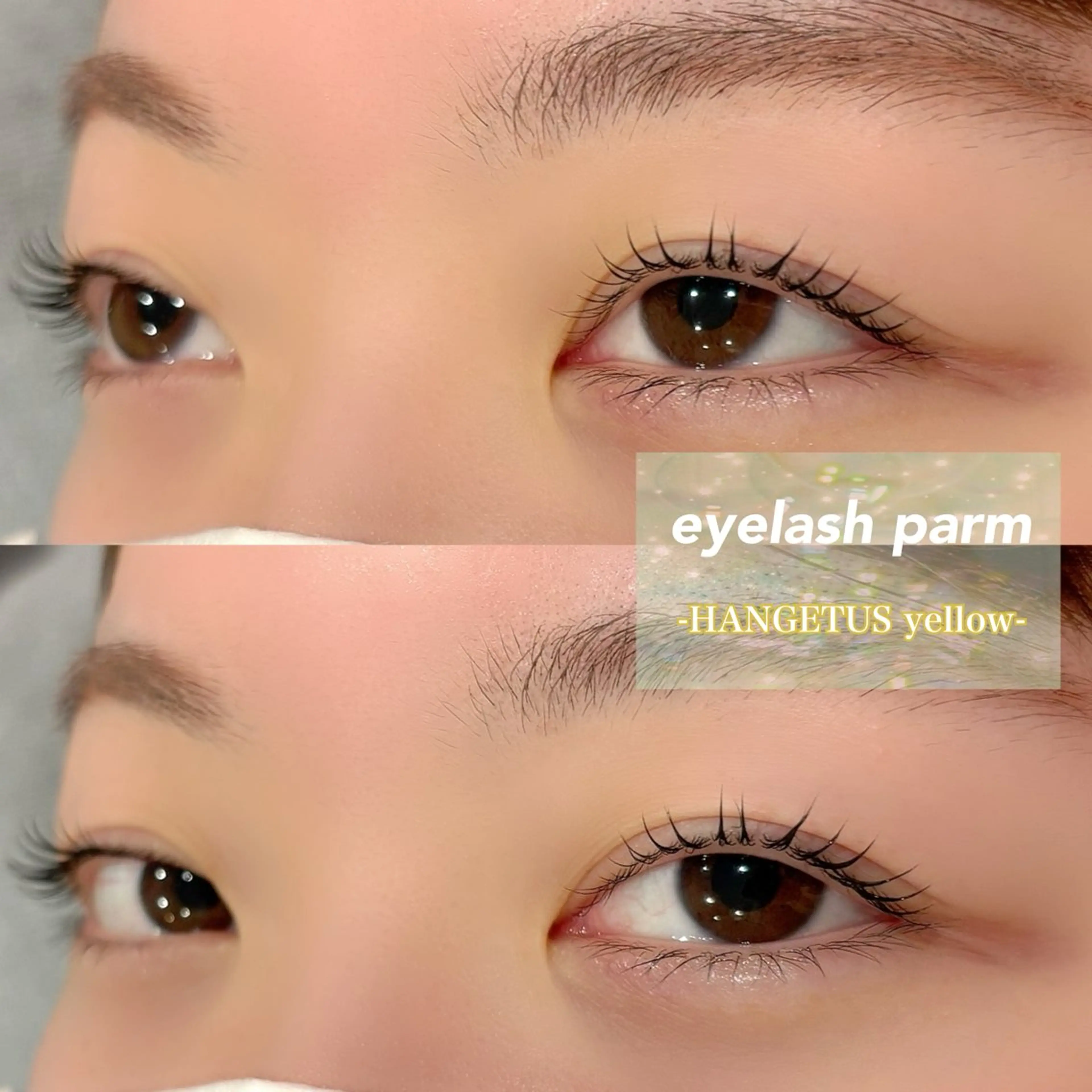 マツエク・マツパ 🩵ANELA東口 齋藤琴音💚のマツエク・マツパデザイン