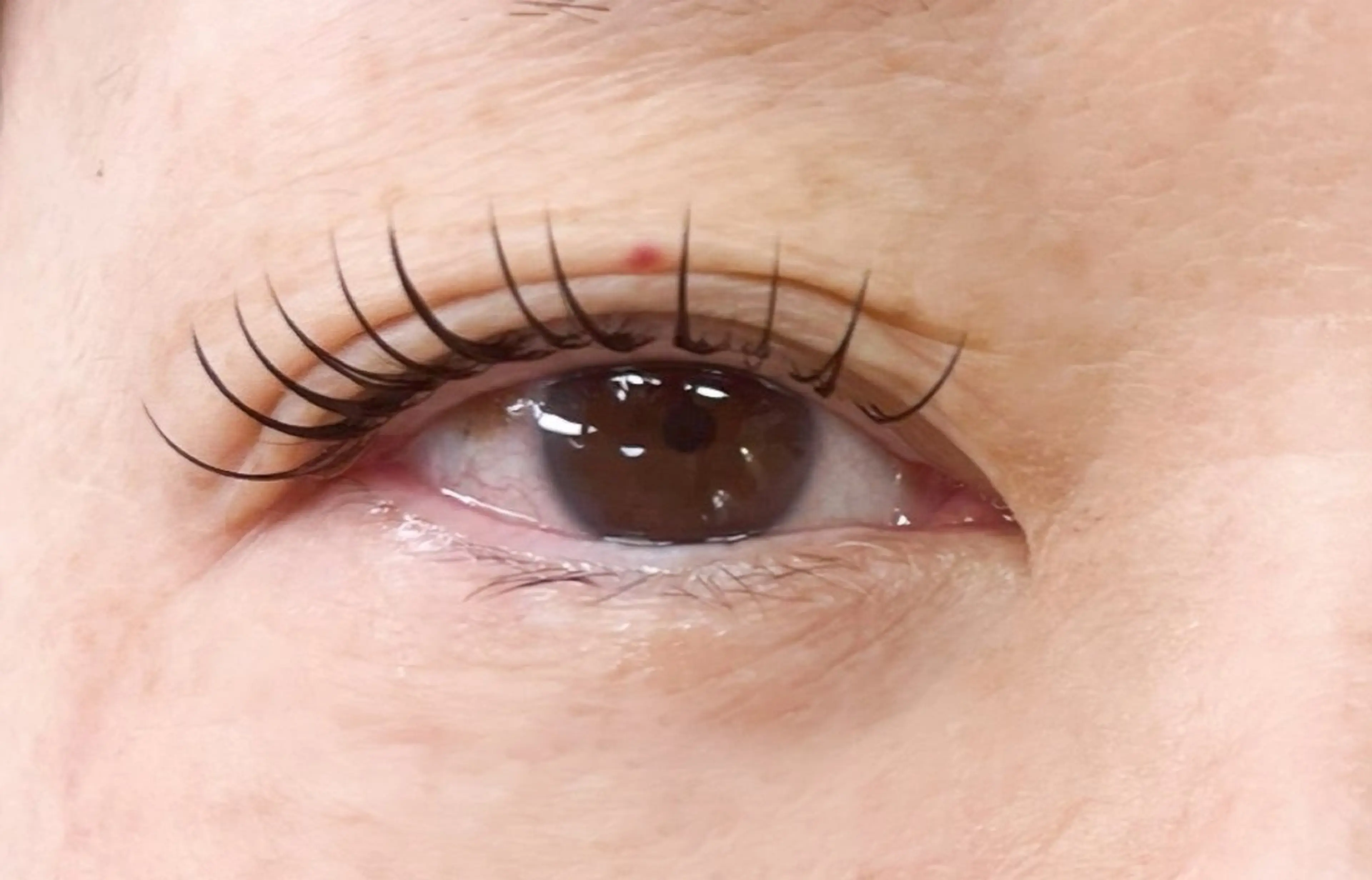 マツエク・マツパ Sign .のマツエク・マツパデザイン