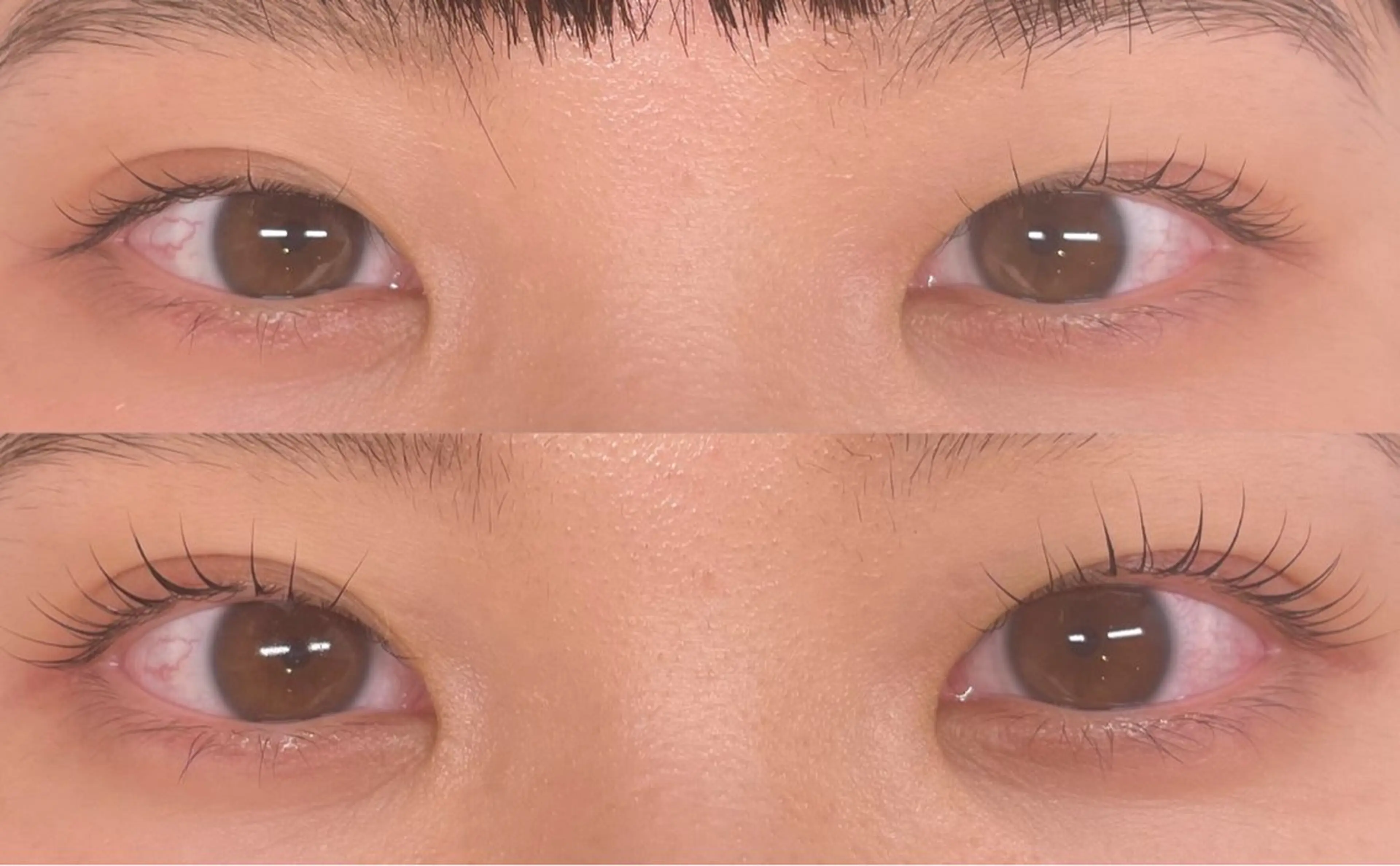 マツエク・マツパ eyelash salon　teraのマツエク・マツパデザイン