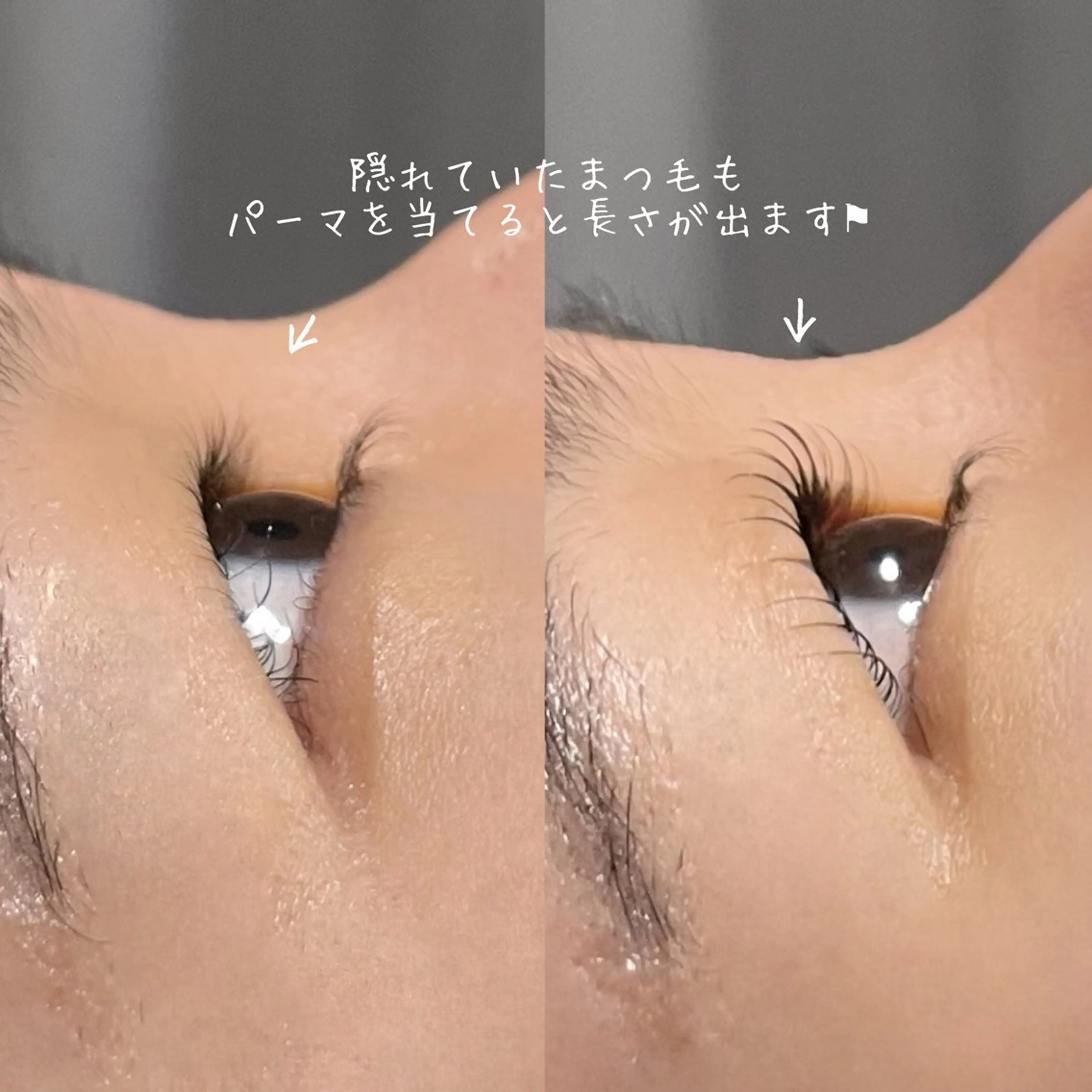 マツエク・マツパ マツパ eclipse eyelashのマツエク・マツパデザイン