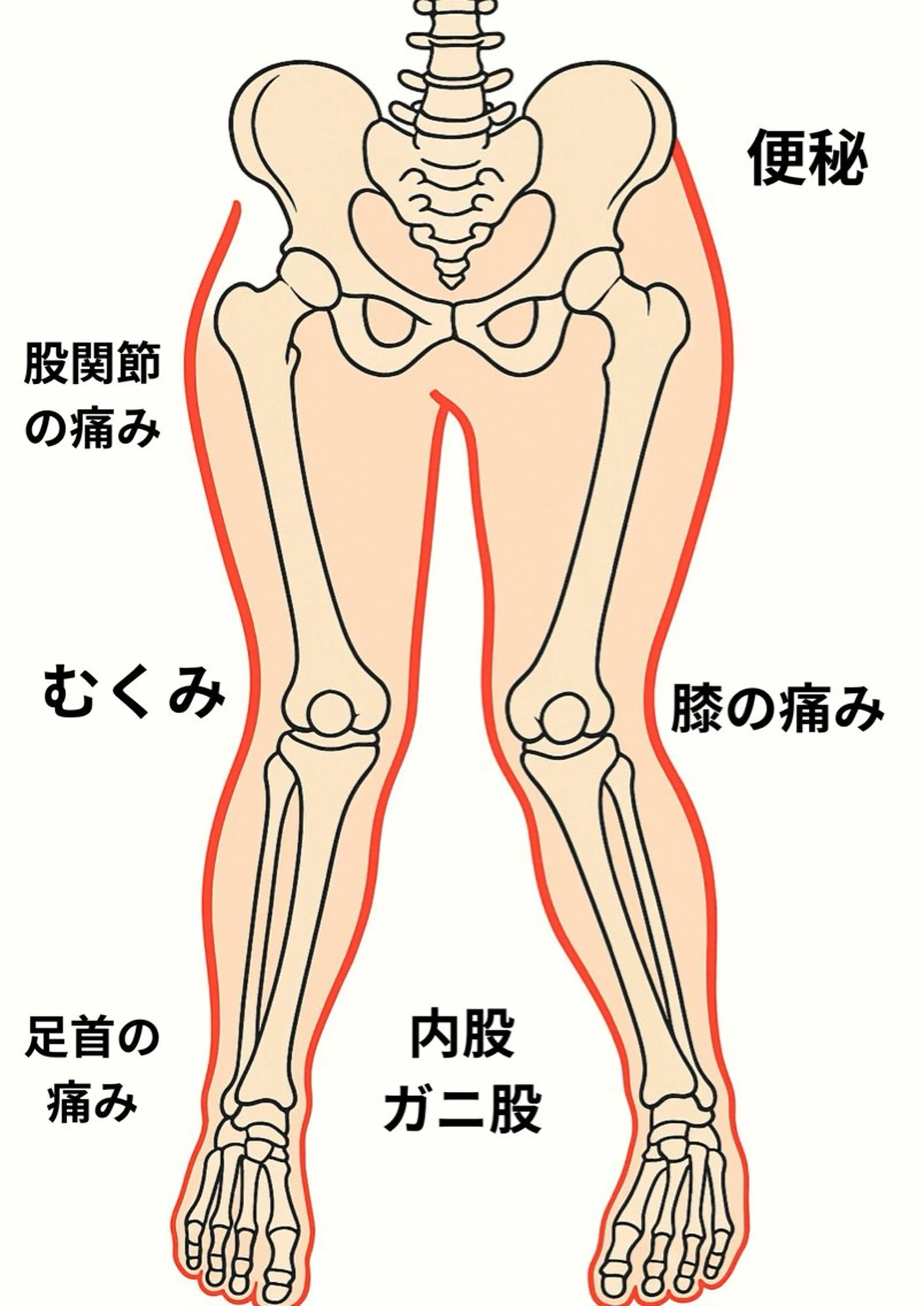 下半身集中ケアコースの写真