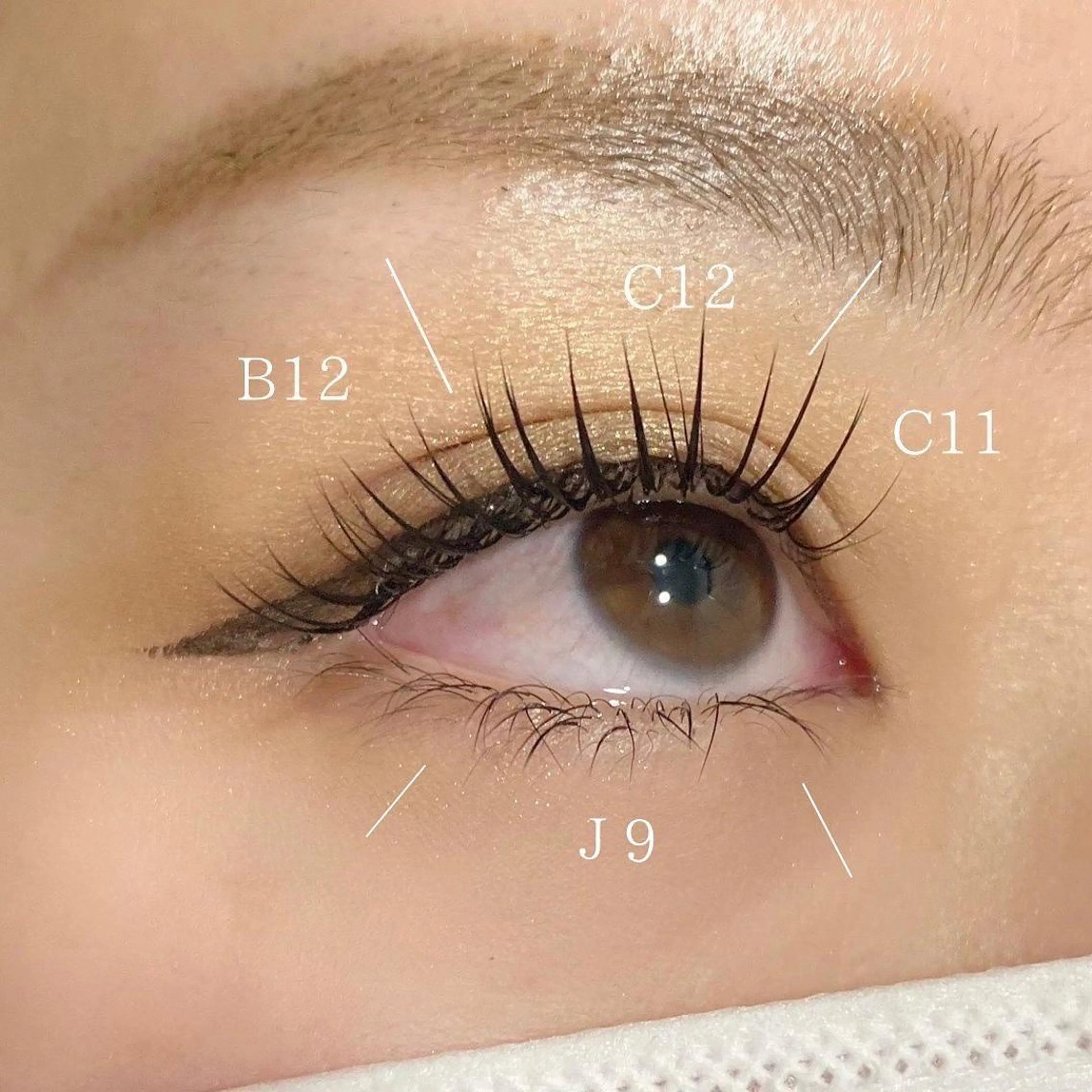 マツエク・マツパ KURUMI🦋 まつエクまつパ美眉のマツエク・マツパデザイン