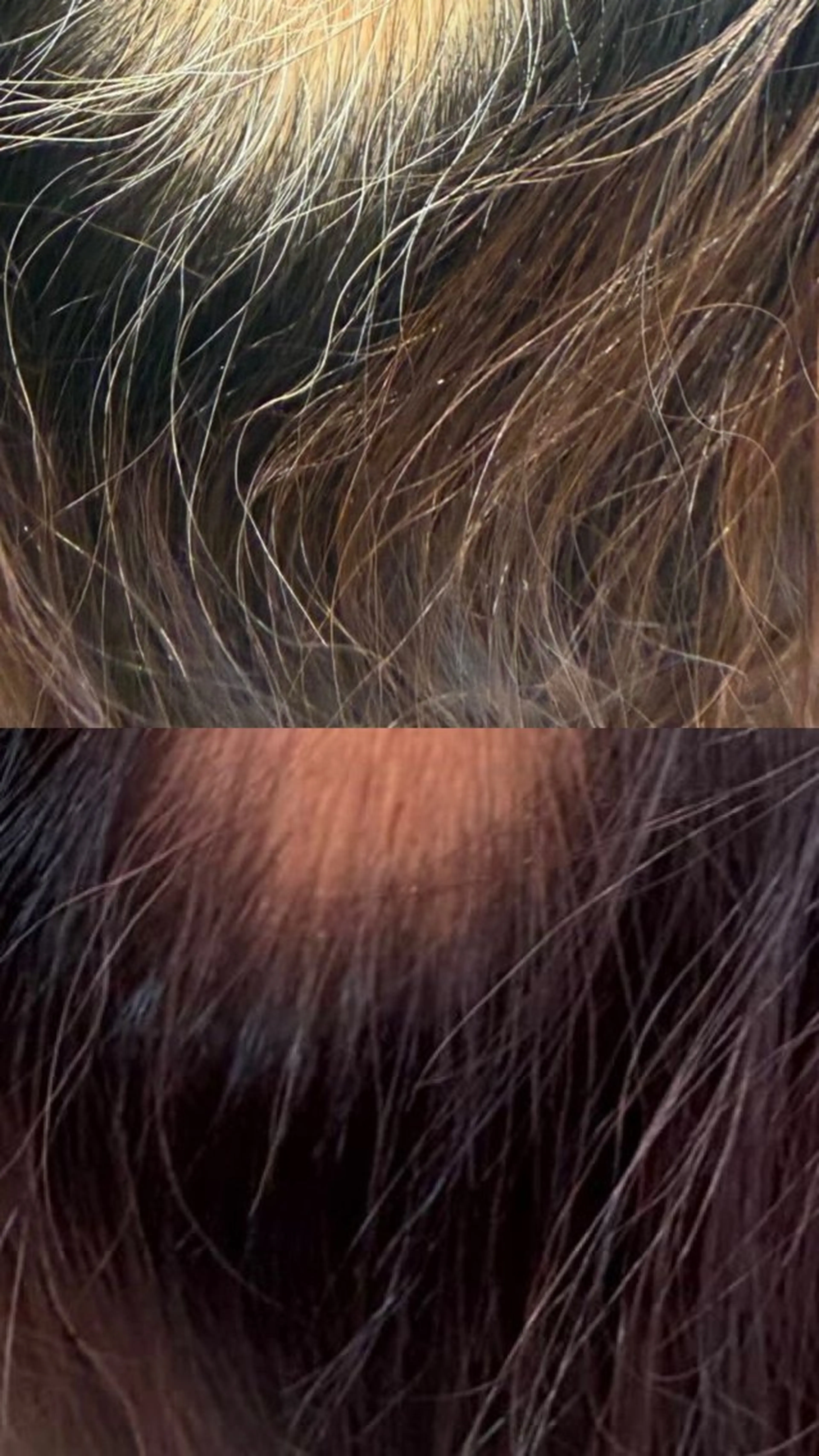 セミロング カラー NICA所属・こぐれ みさきのヘアスタイル