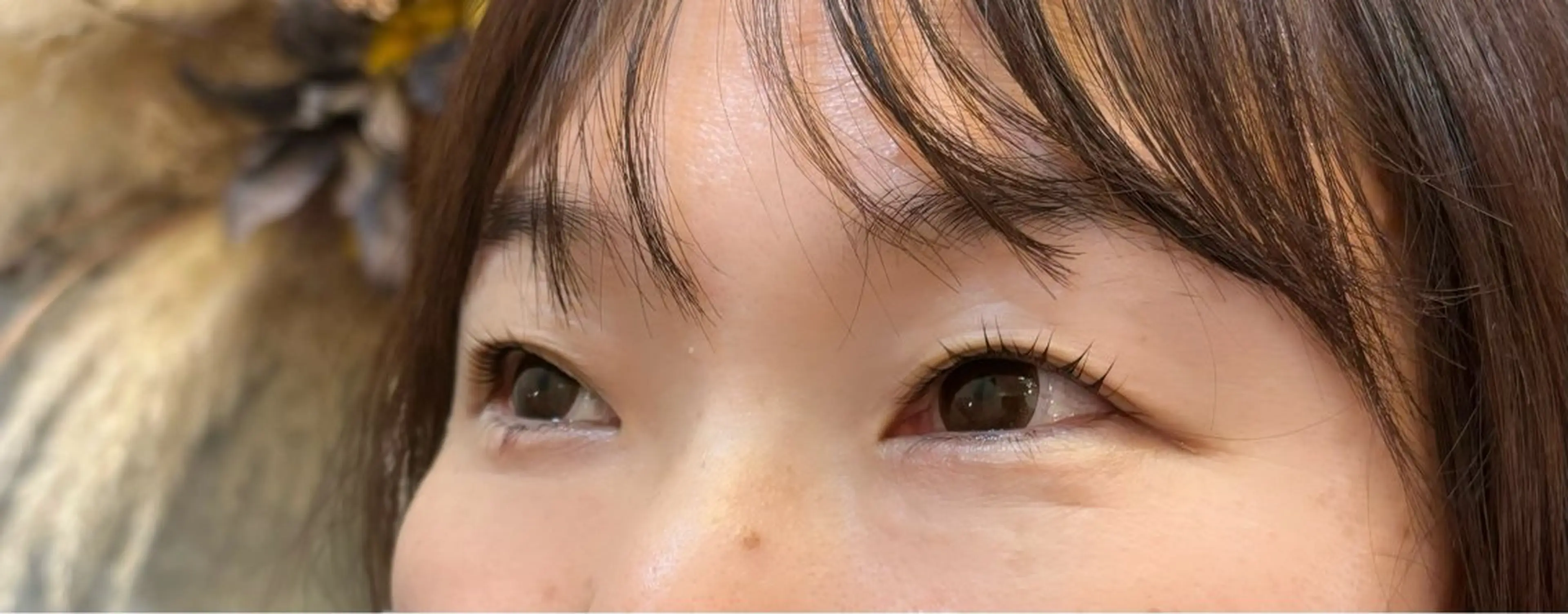 マツエク・マツパ 39hair所属・小久保 秀香のマツエク・マツパデザイン
