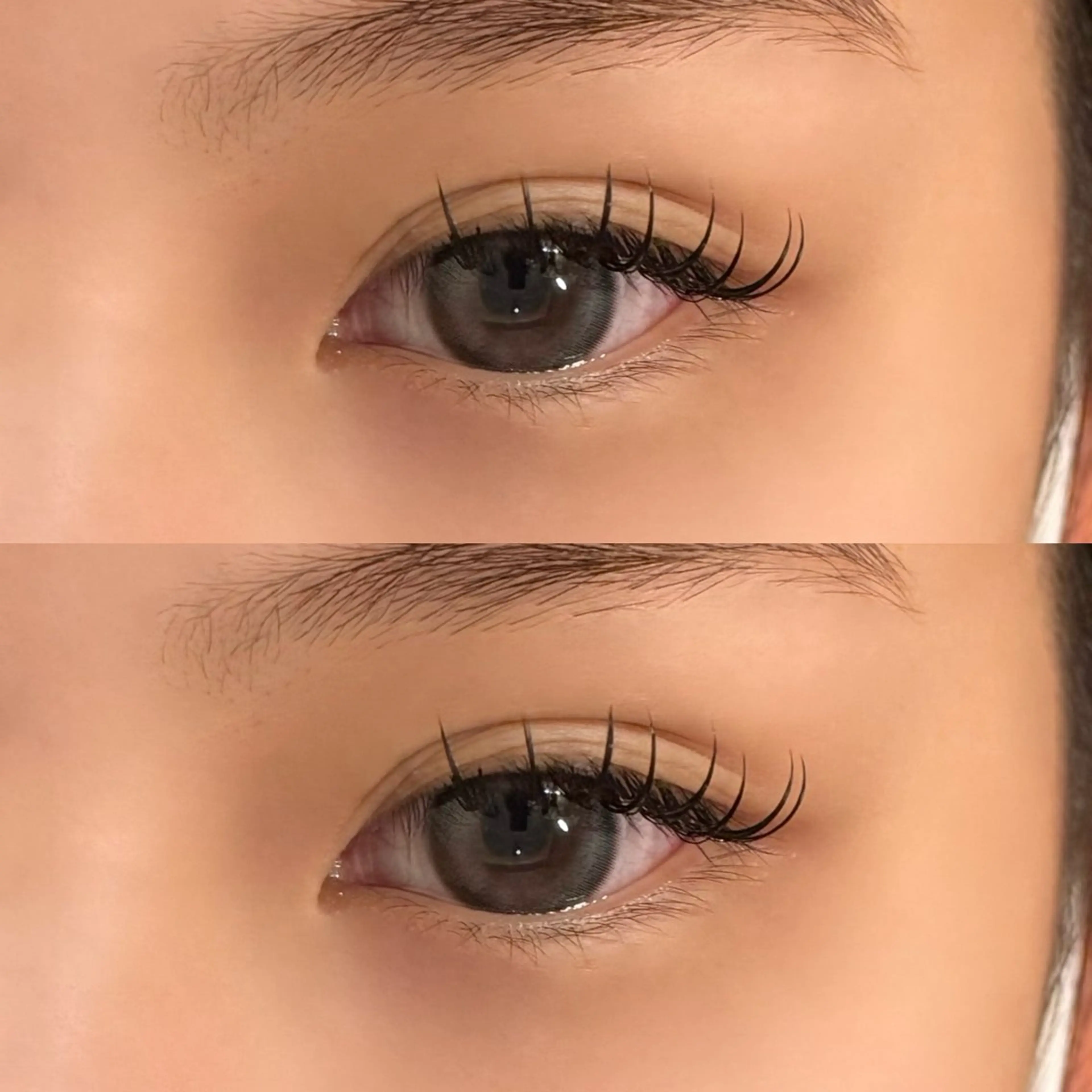 マツエク・マツパ 🐾ROAR🐾 HAZUKIのマツエク・マツパデザイン