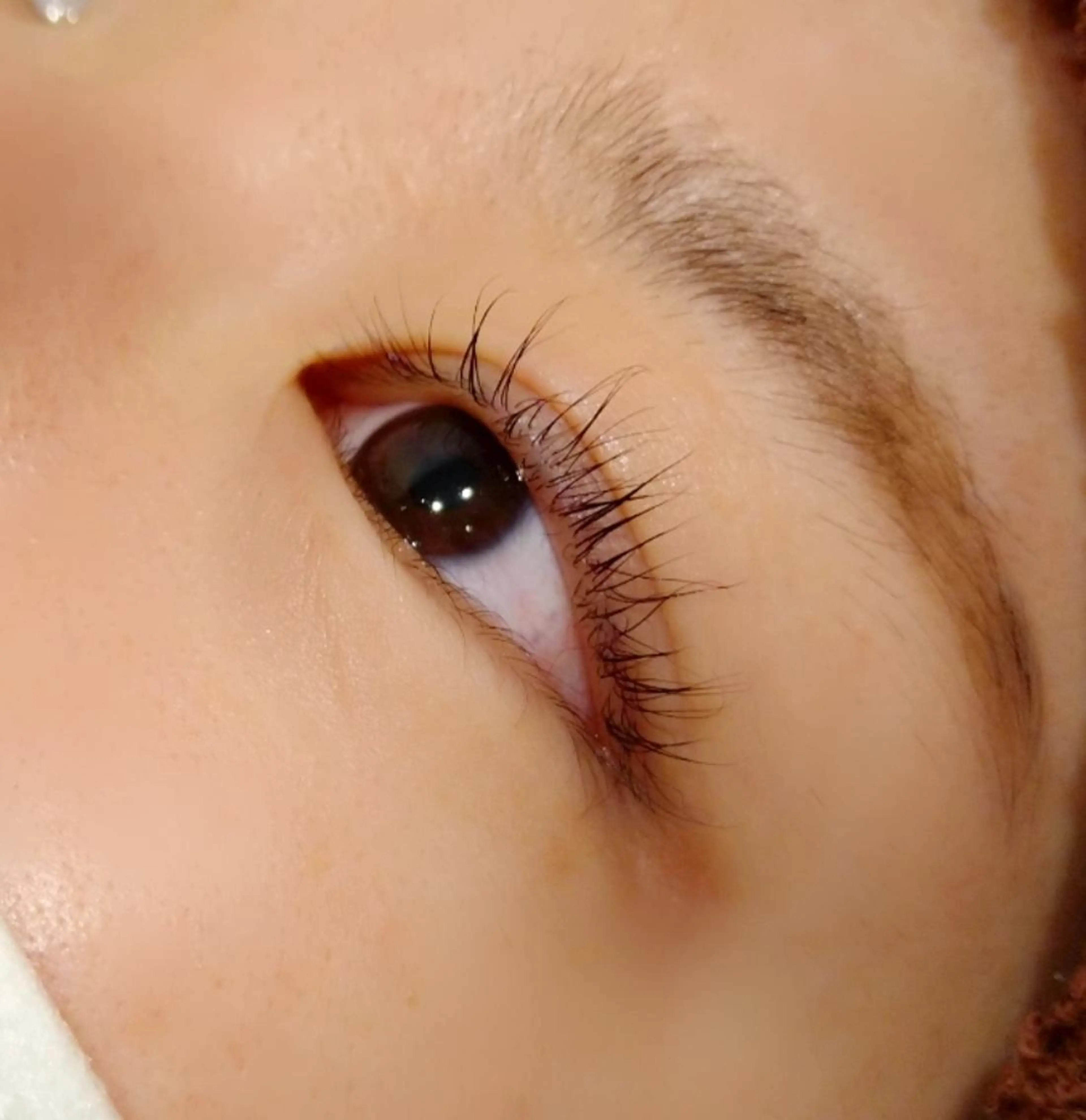 パーマ マツエク・マツパ パリジェンヌラッシュリフト 🩶 Miori🩶のマツエク・マツパデザイン