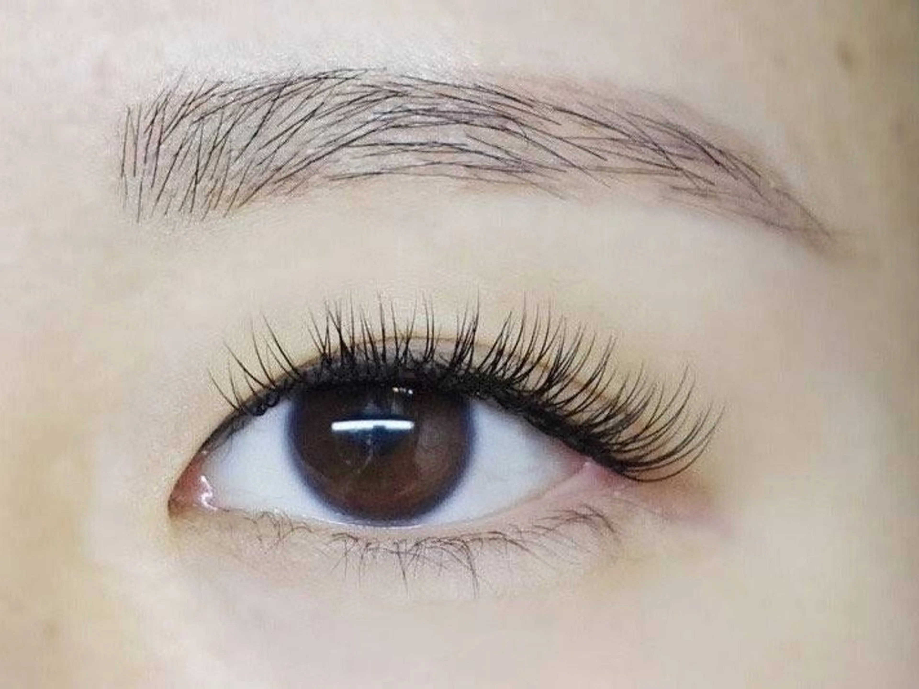 LED同価格🩷オフ無し【バインド100本】ブラウンに変更可能✌️の写真