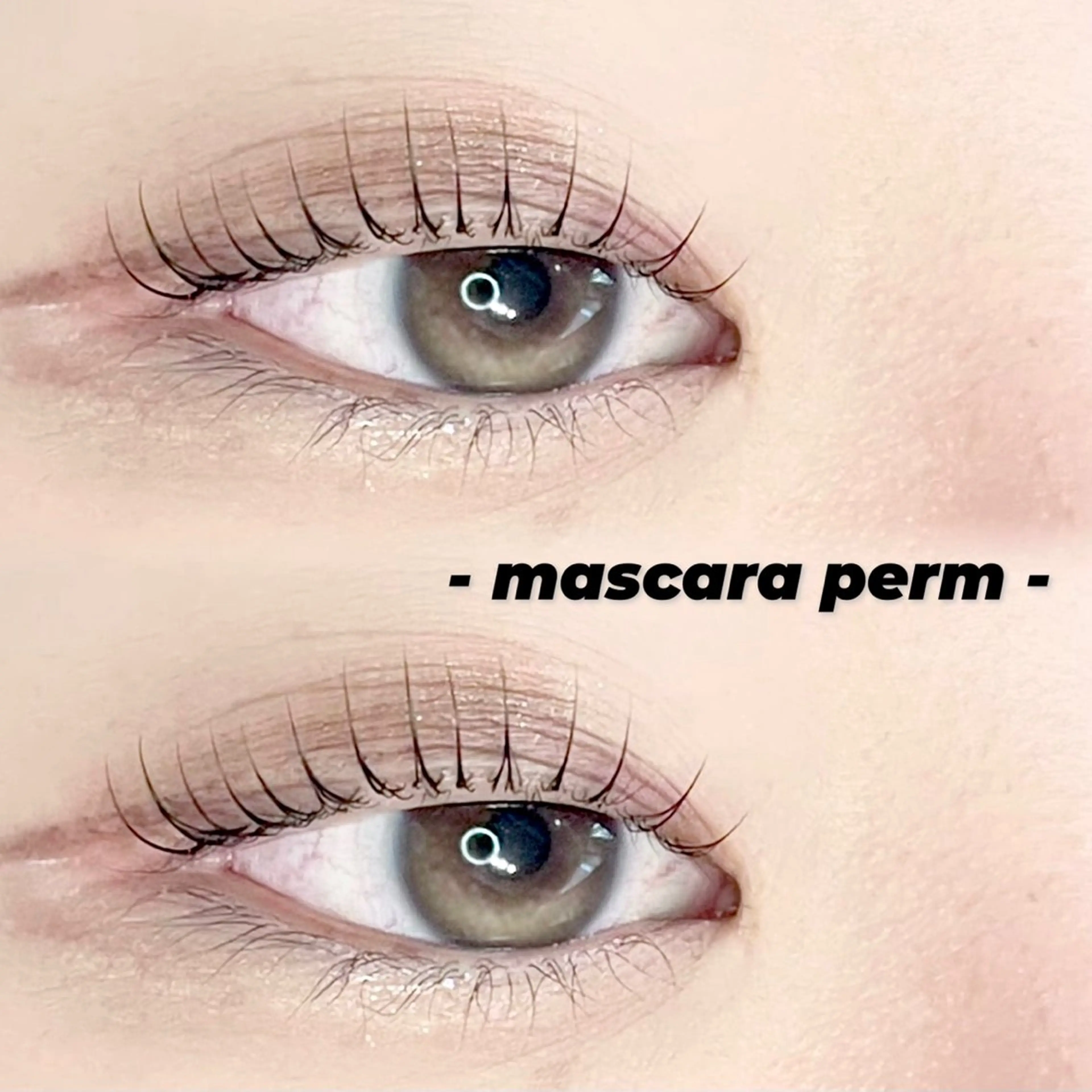 マツエク・マツパ 韓国風マツエク eyebrowsalon ALMU.【アルム】🕊️アイブロウ/まつぱ所属・眉毛とまつ毛の専門店 ALMU.【アルム】の眉毛・アイブロウイメージ