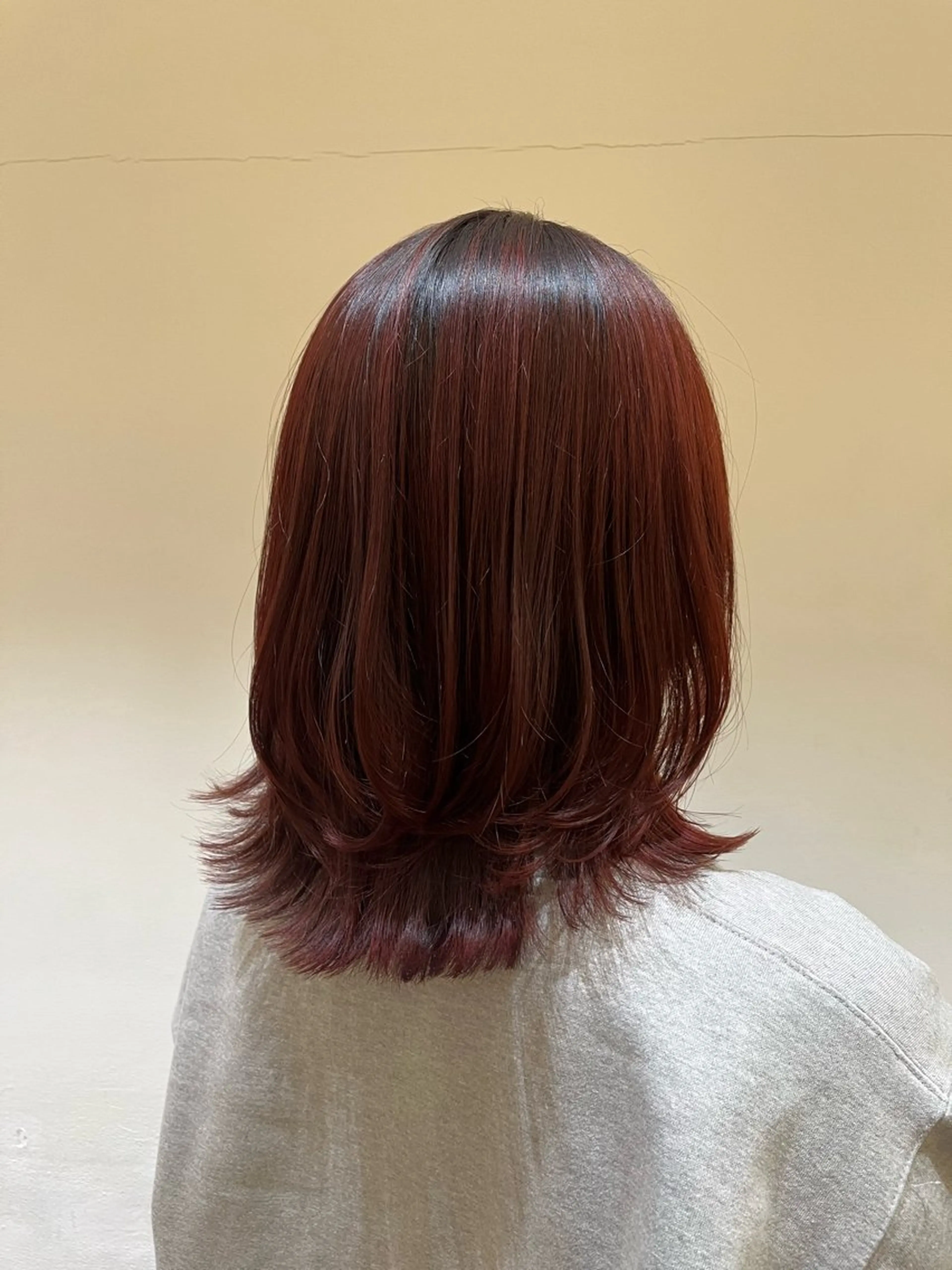 ミディアム カラー ブリーチ ブリーチなしカラー レッドカラー レイヤーカット つじしおり／ ショートヘア募集のヘアスタイル
