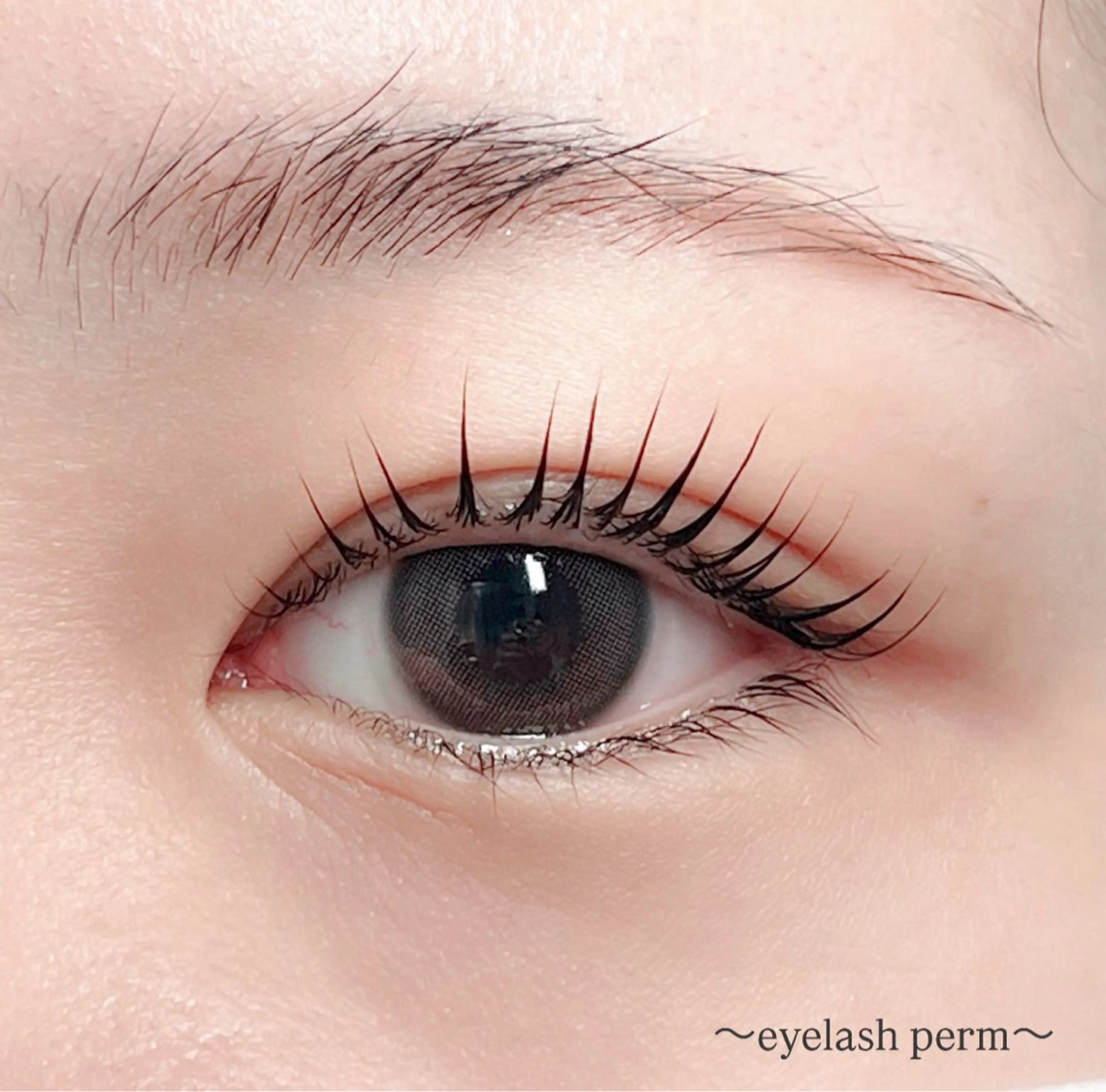 マツエク・マツパ マツパ 田村 莉子のマツエク・マツパデザイン