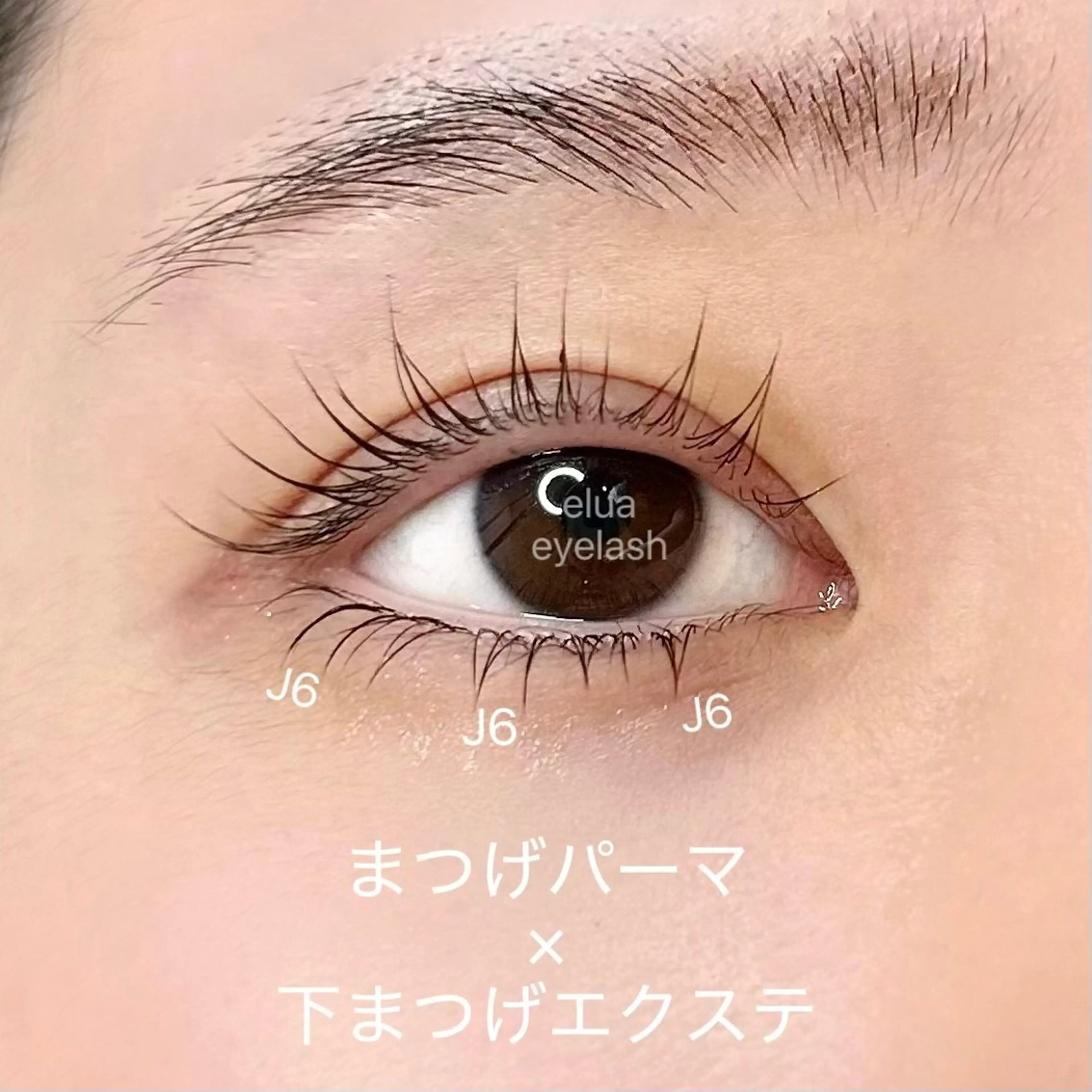 マツエク・マツパ まつげパーマ マツパ elua eyelash所属・elua eyelashのマツエク・マツパデザイン