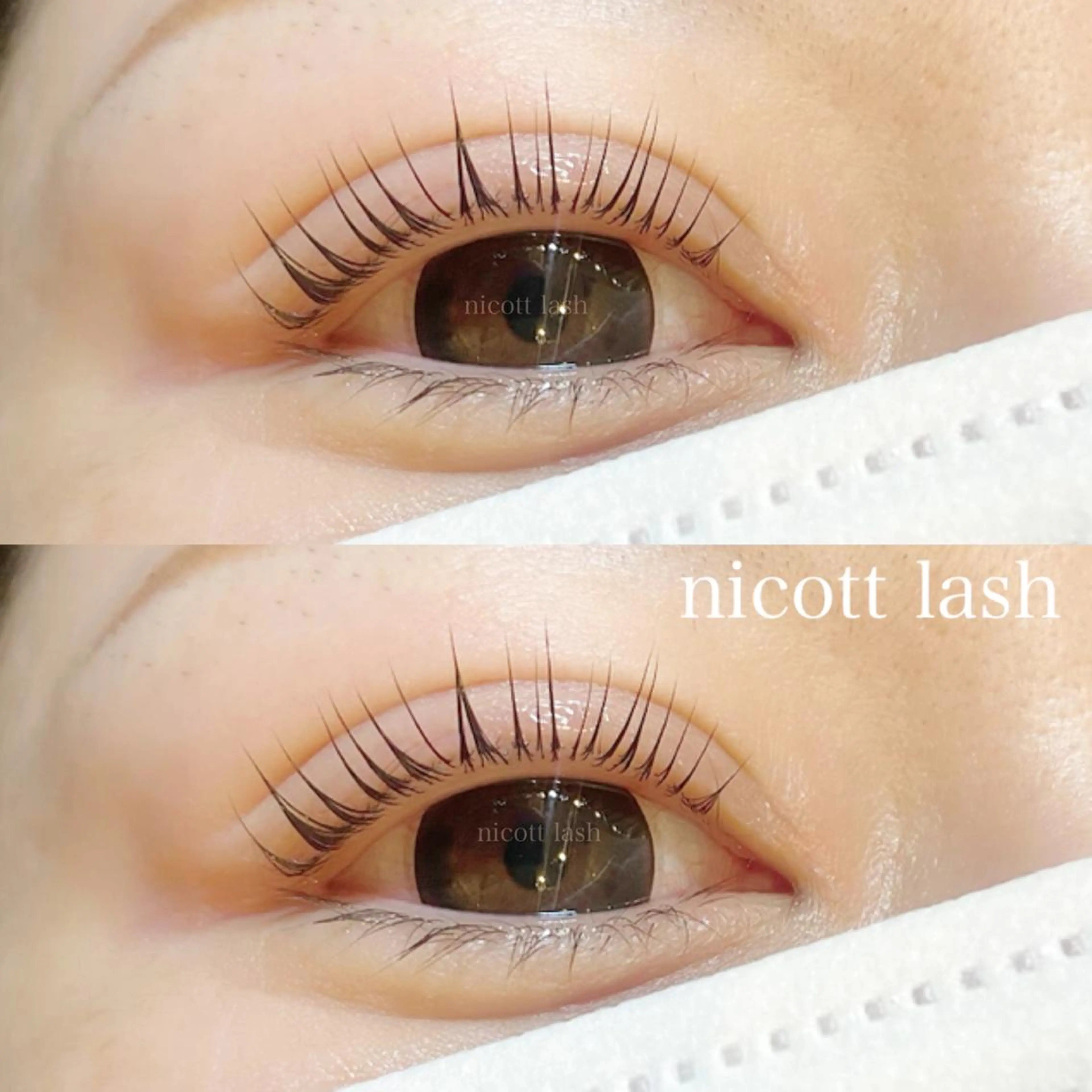 マツエク・マツパ nicott 松本のマツエク・マツパデザイン
