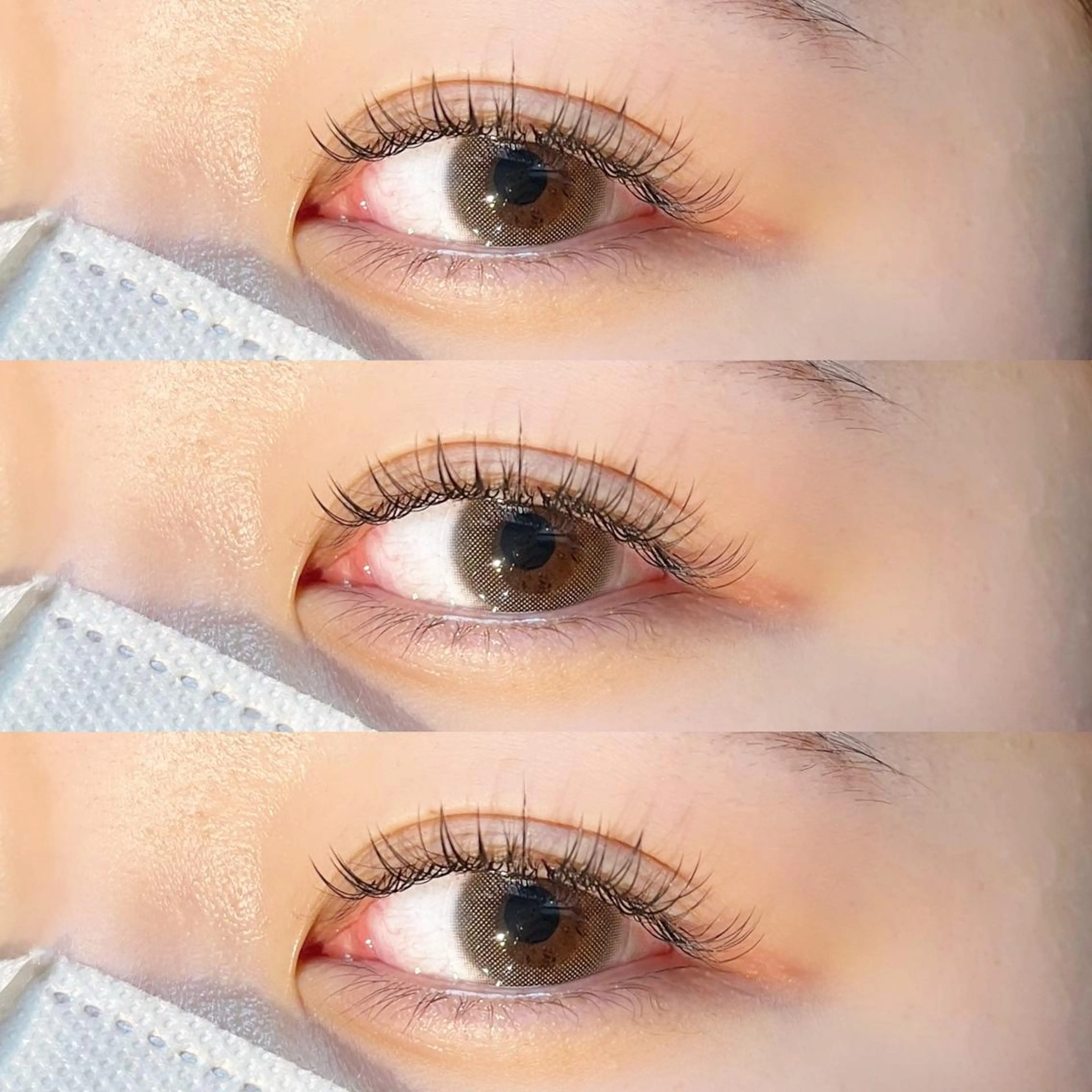 フラットラッシュ120本 🌼の写真
