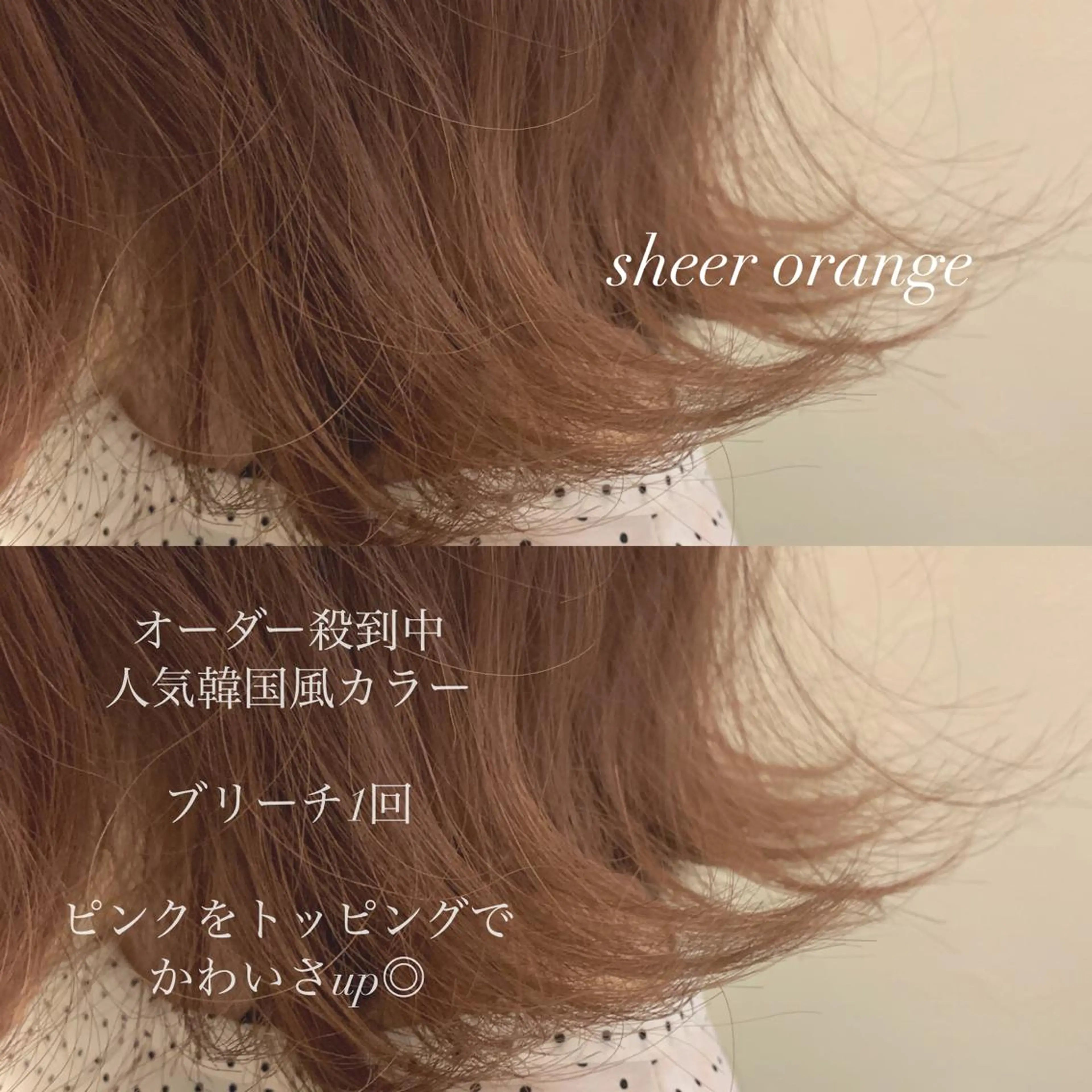 ミディアム カラー ヘアカラー トリートメント ヘアセット レイヤー/艶髪 🇰🇷タニリョウタのヘアスタイル