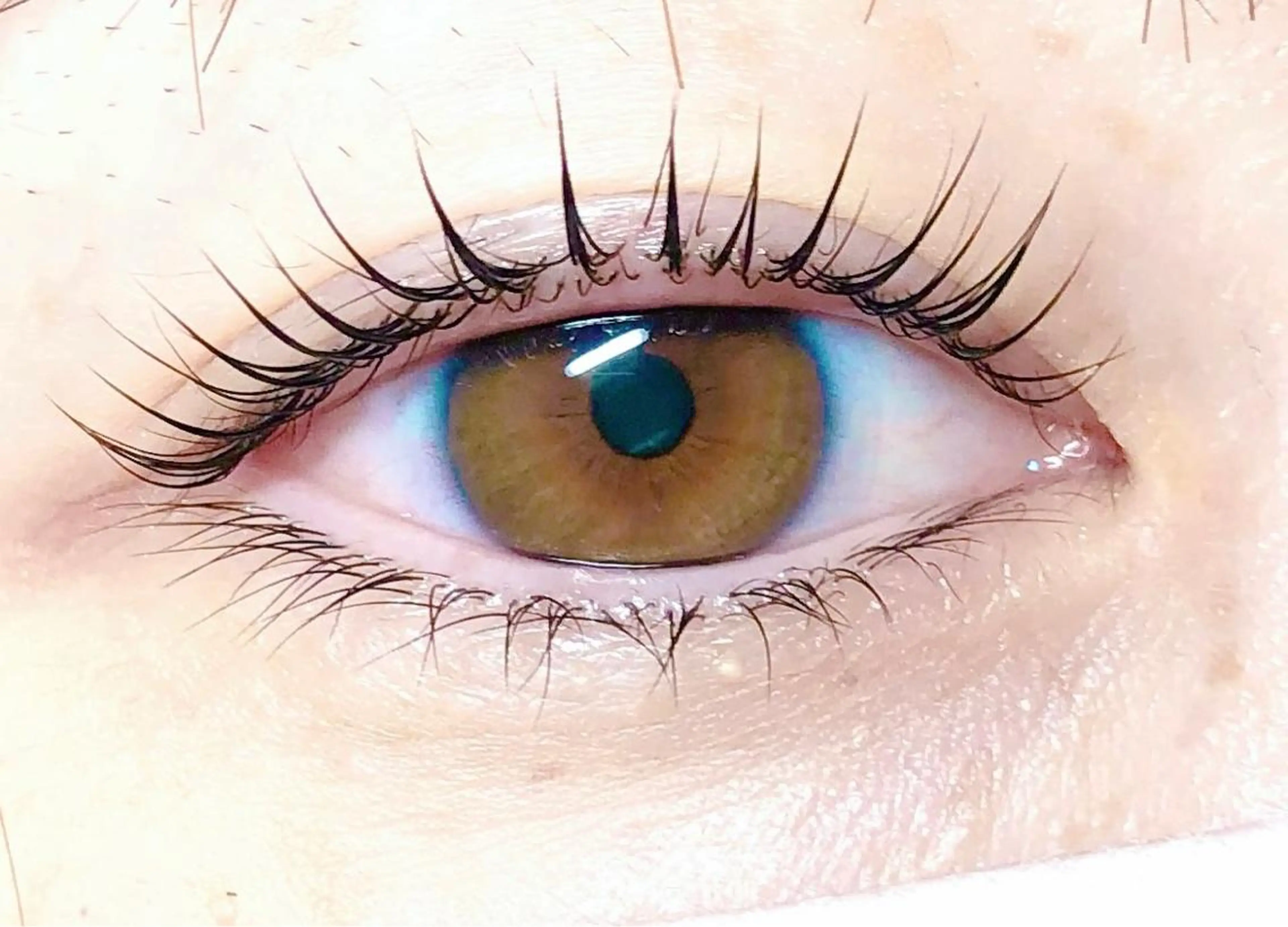 マツエク・マツパ パリジェンヌラッシュリフト eyelash plan api所属・【plan】 kaoriのマツエク・マツパデザイン