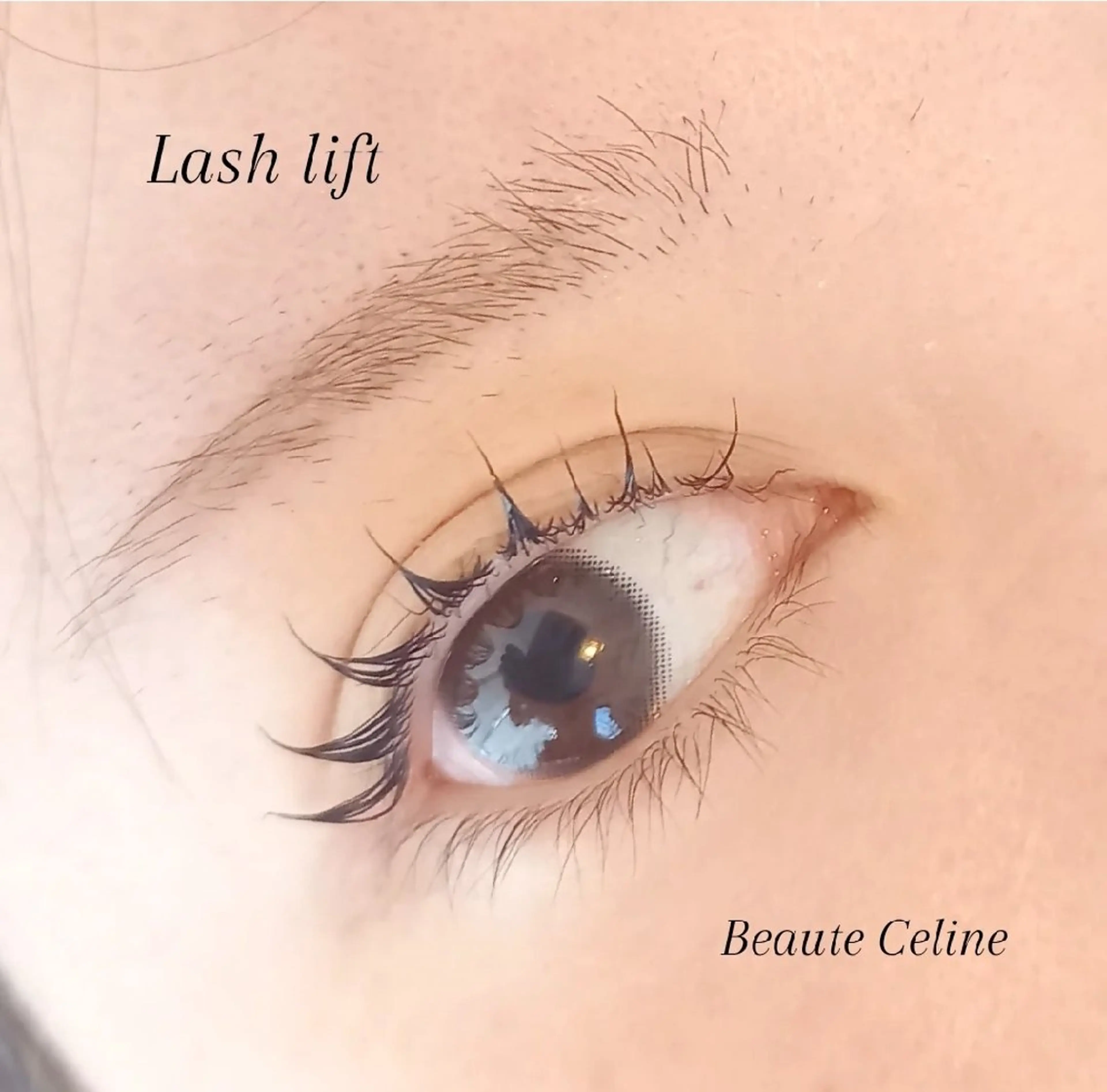 マツエク・マツパ マツパ beaute.celine所属・束感🌛beaute  celineのマツエク・マツパデザイン