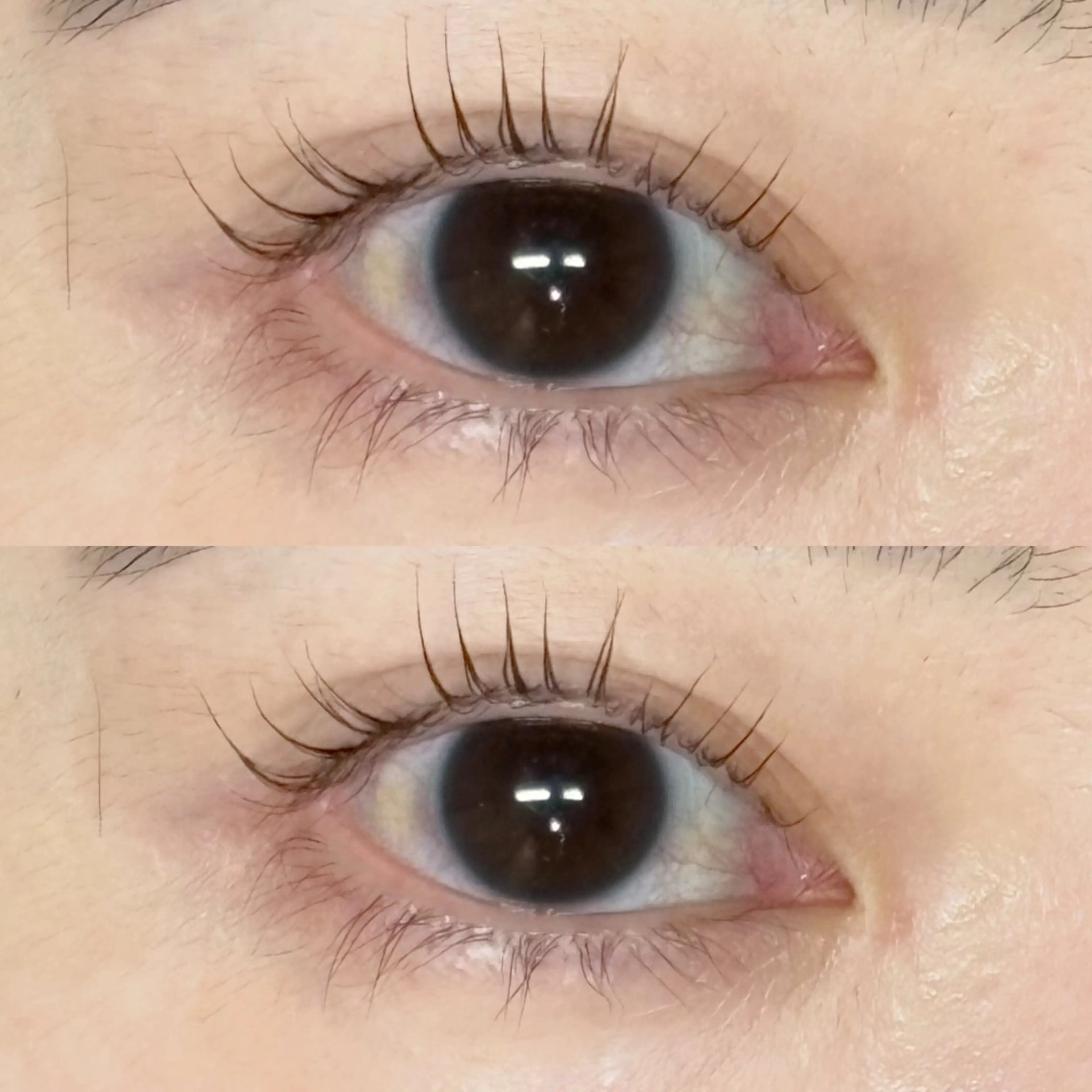 マツエク・マツパ マツパ fein. kaho︎♡の眉毛・アイブロウイメージ