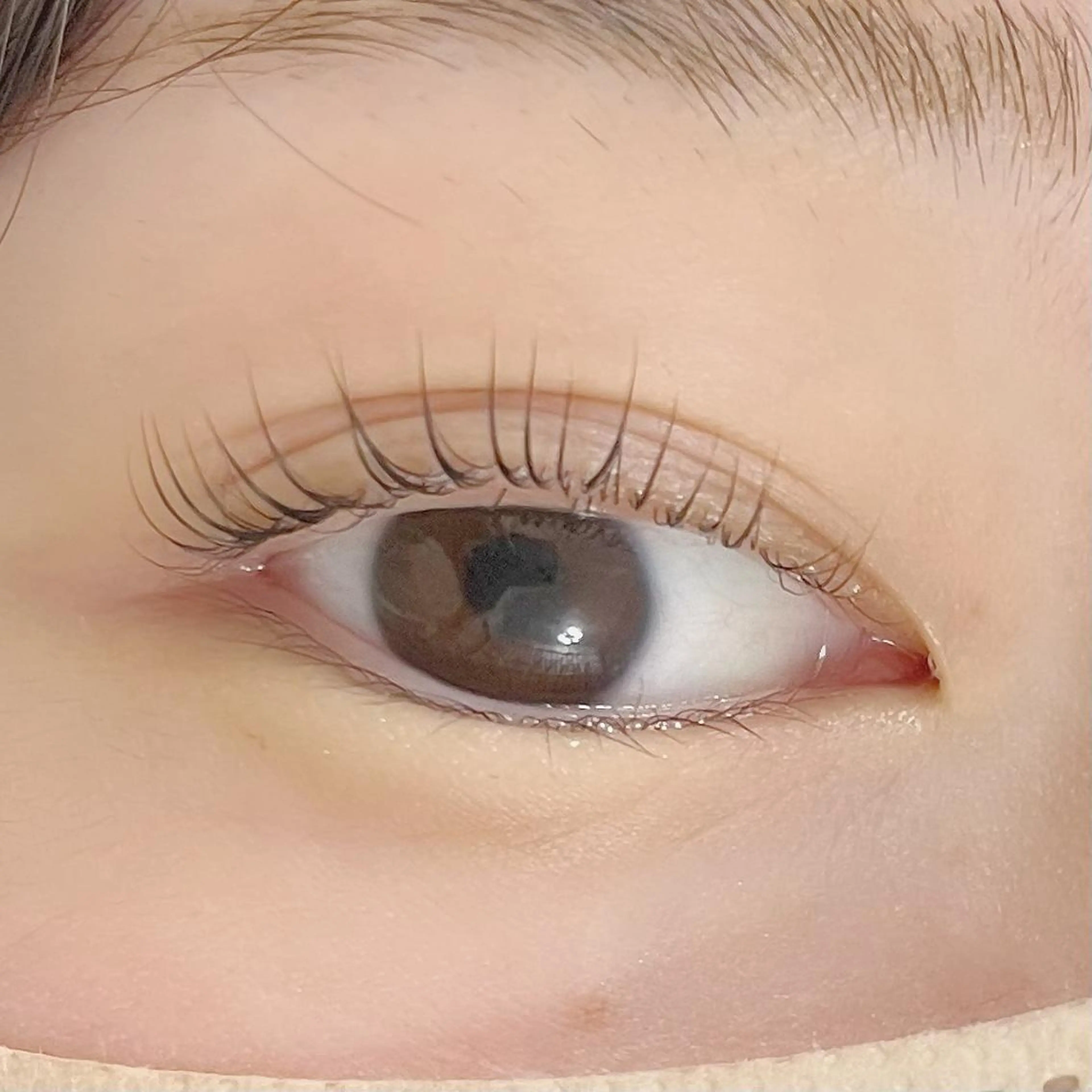 マツエク・マツパ Air+<PLUS>森下店所属・橋本 朋佳のマツエク・マツパデザイン