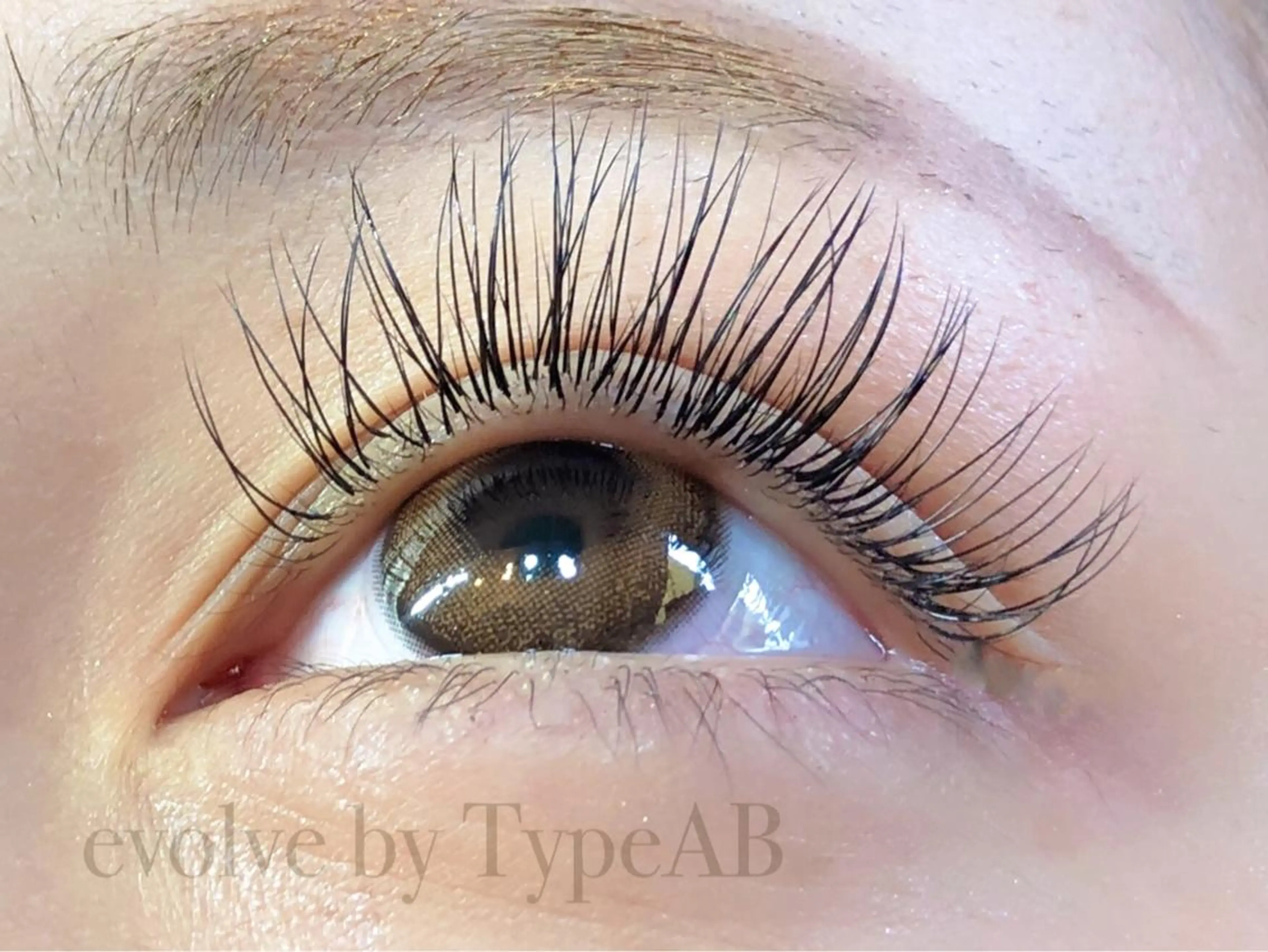 マツエク・マツパ Cカール マツエク evolve by TypeAB所属・evolve  by TypeABのマツエク・マツパデザイン