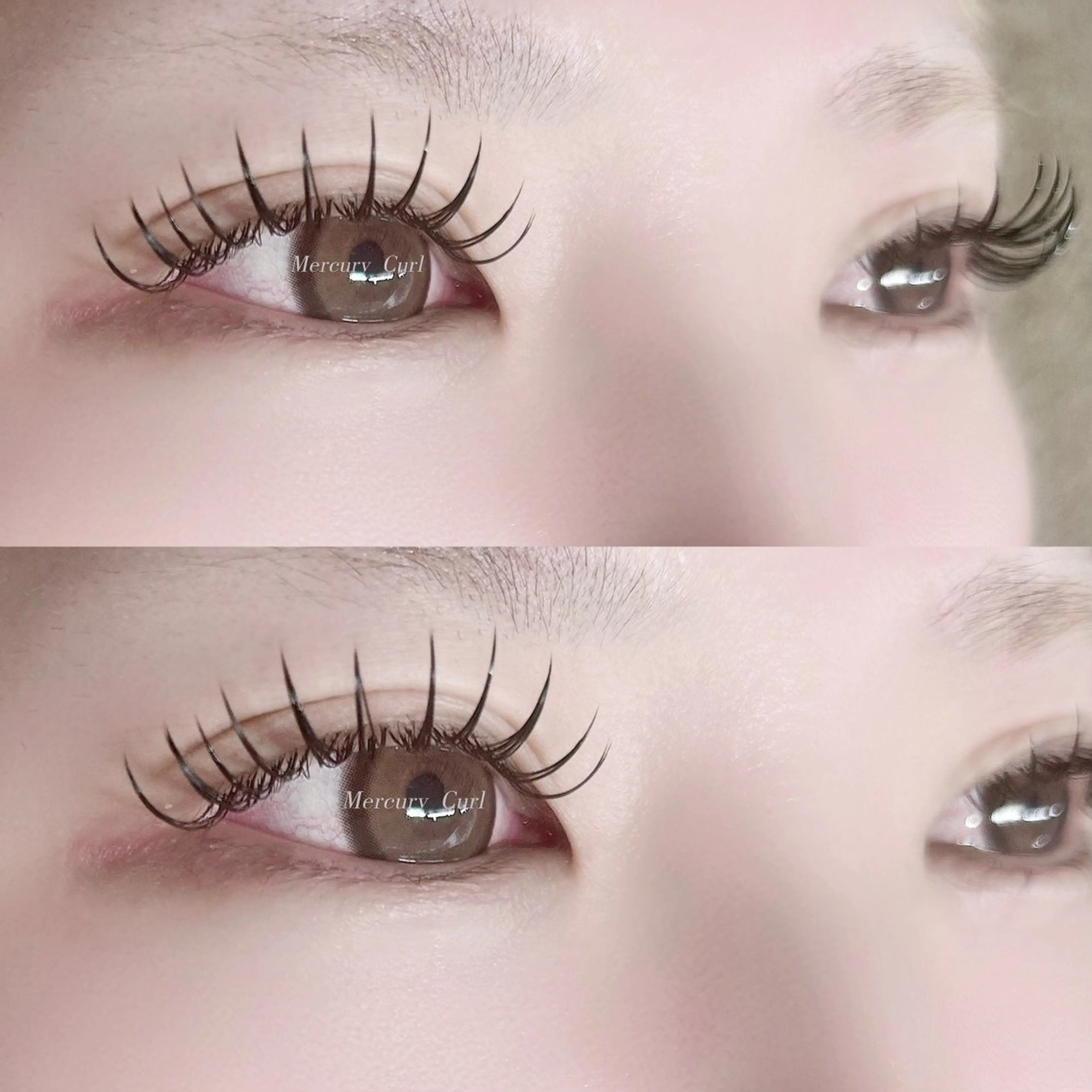 ð©¶ãã©ããã©ãã·ã¥ 140æ¬ð©¶ã®åç