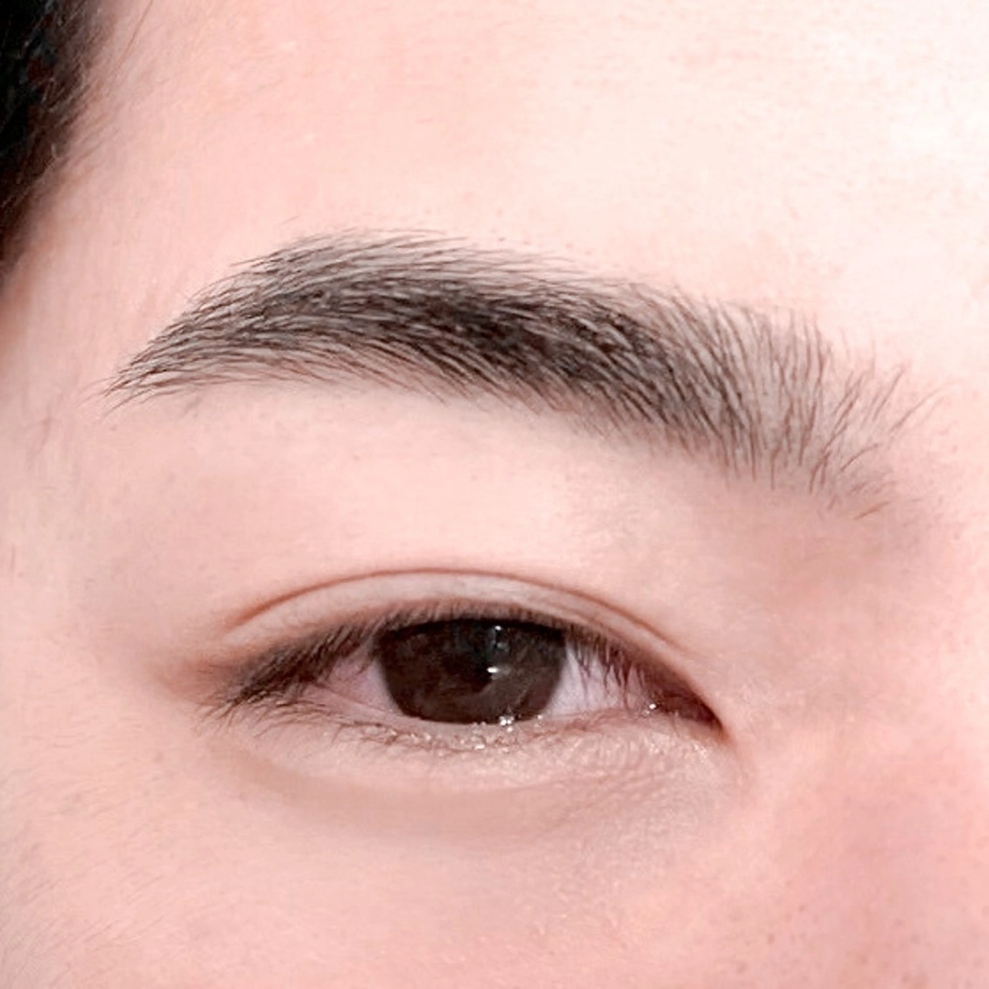 メンズ アイブロウ ICHIKAWA 🐇🎀のマツエク・マツパデザイン