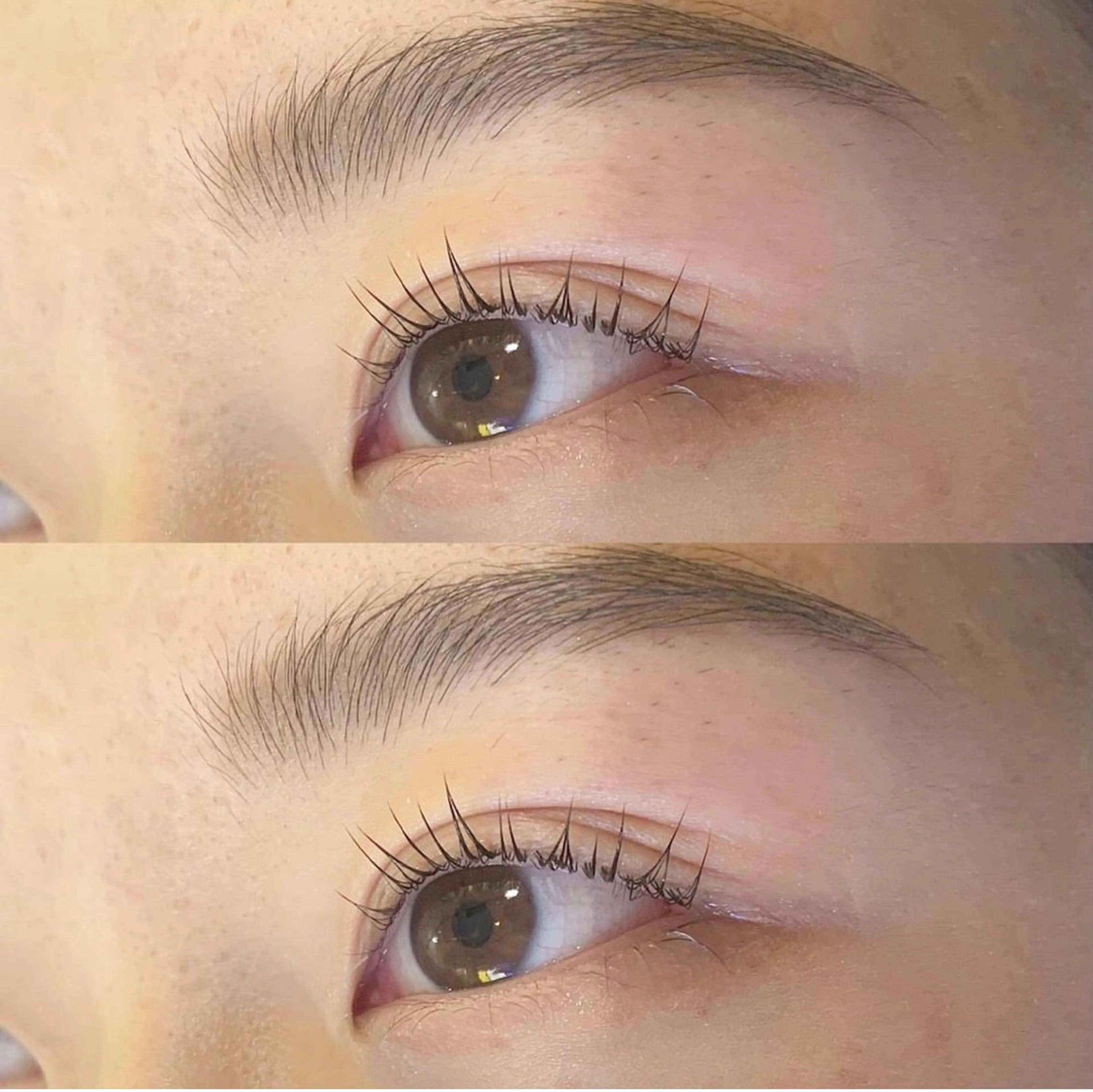 【11月限定】似合わせ まつげパーマ 🛁🫧コーティングトリートメント付きの写真