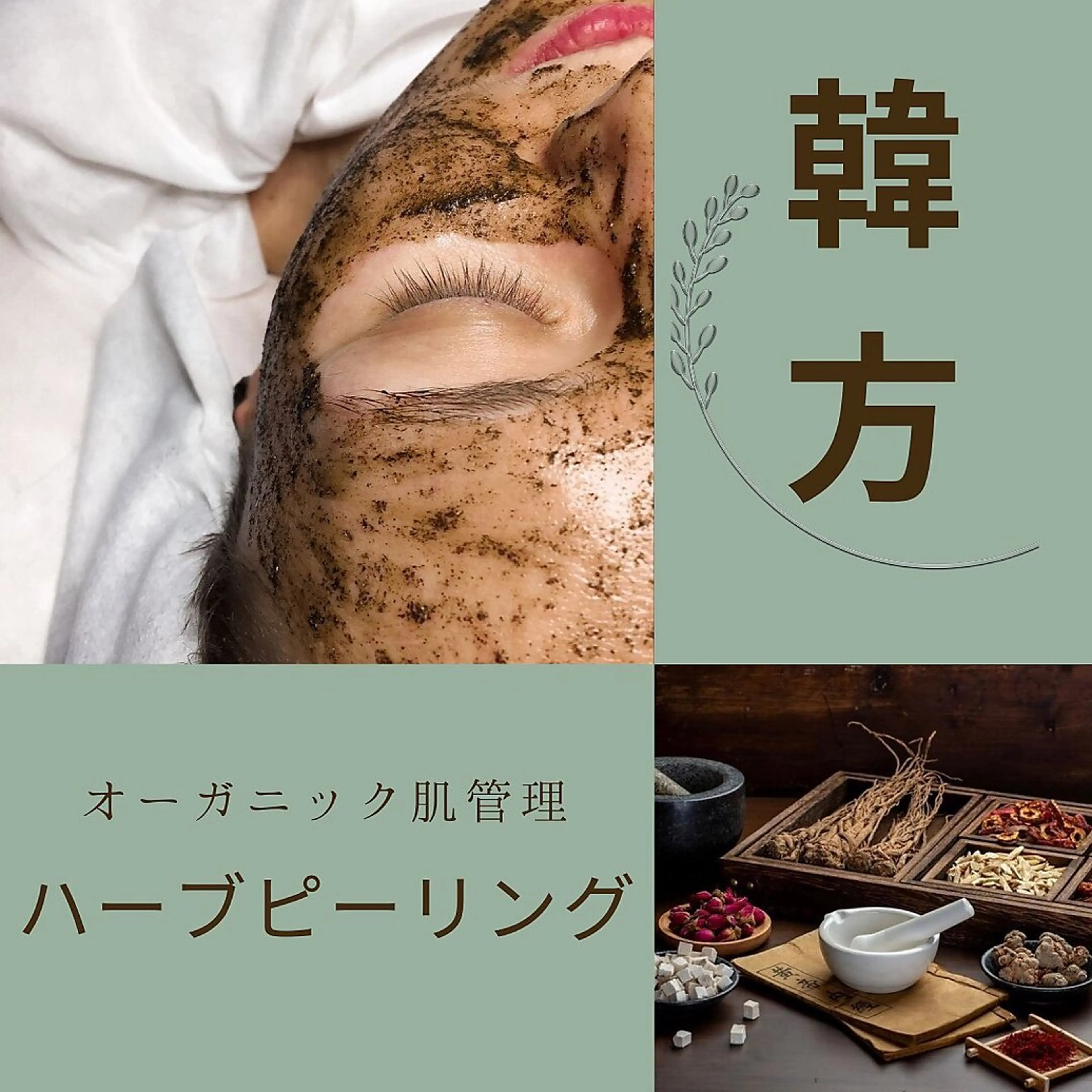 【お悩み根本改善】ハーブピーリング※ダウンタイム有りの写真