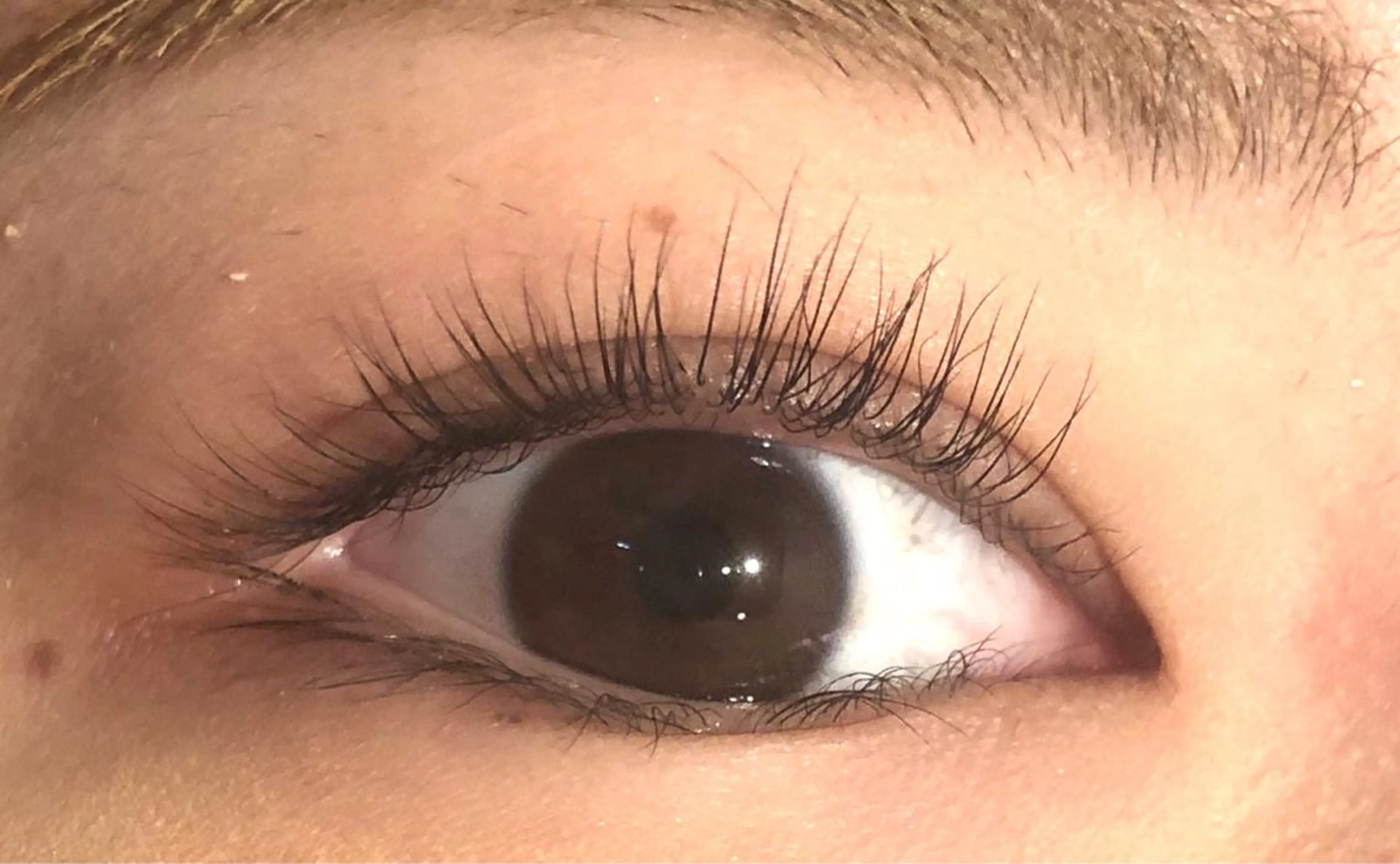 マツエク・マツパ パリジェンヌラッシュリフト マツパ aimée/ まつ毛&眉毛サロンのマツエク・マツパデザイン