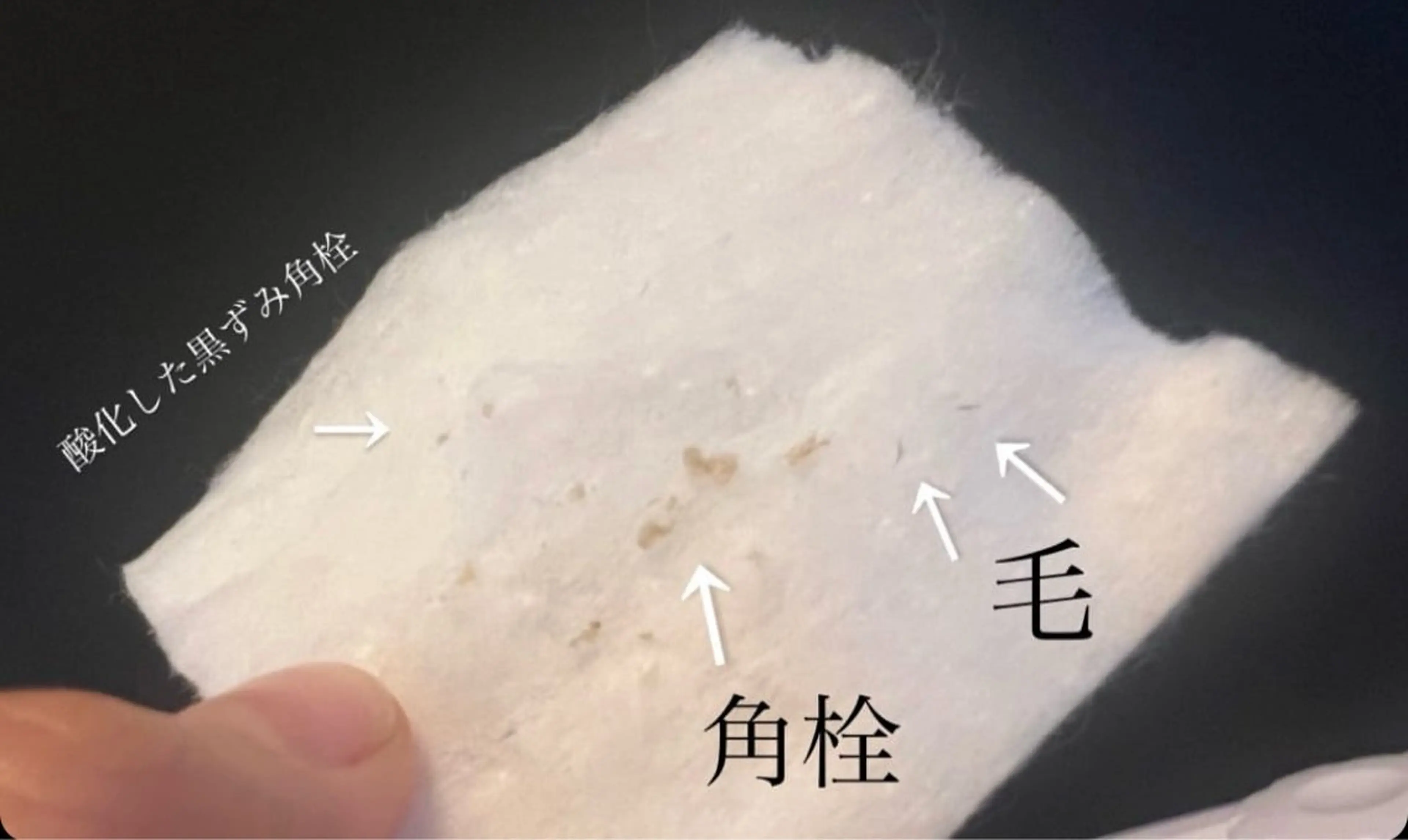 La　Beaute Verite所属・浅居 結菜のその他イメージ