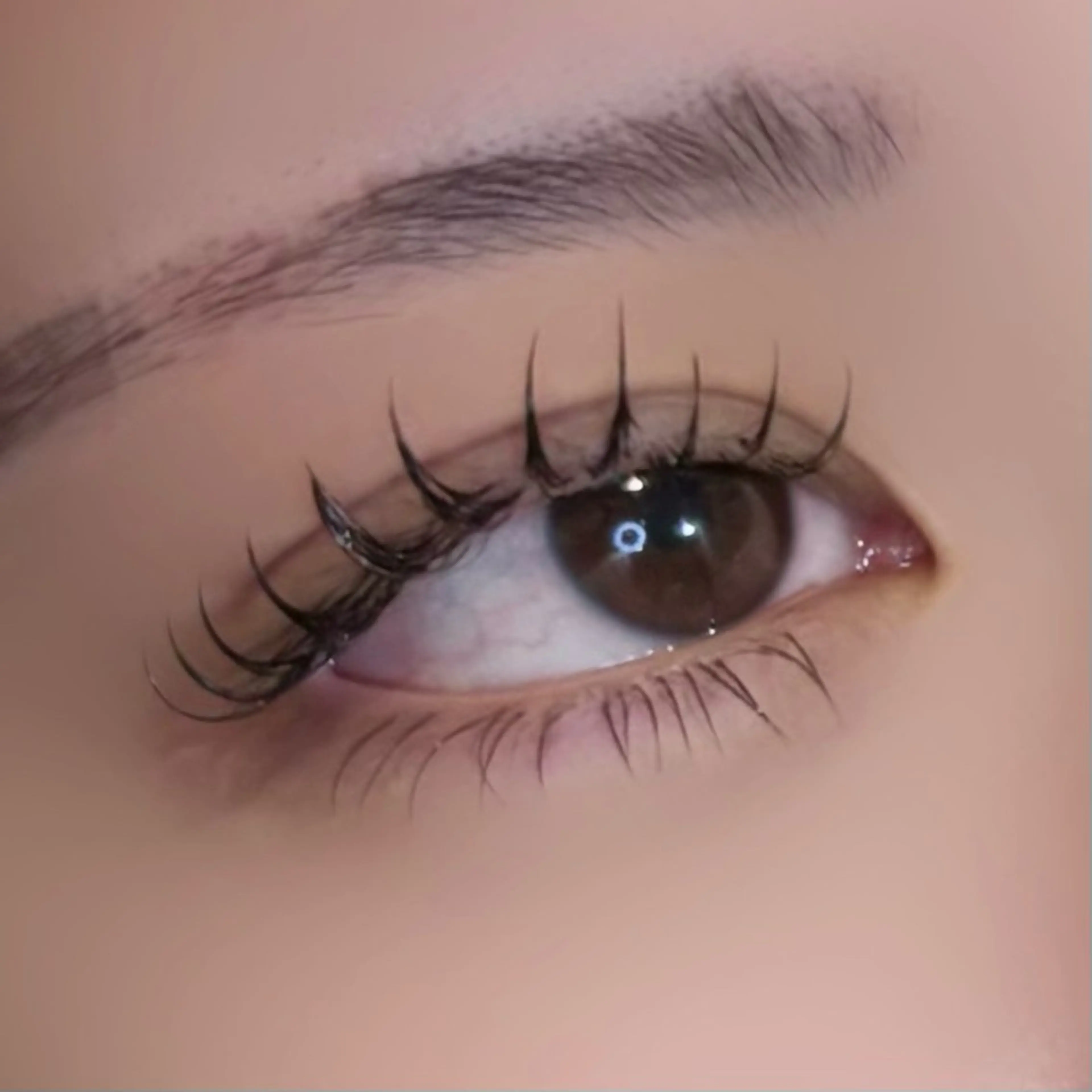 LED✨flat lash 120本下30本 (再来:¥7700)の写真