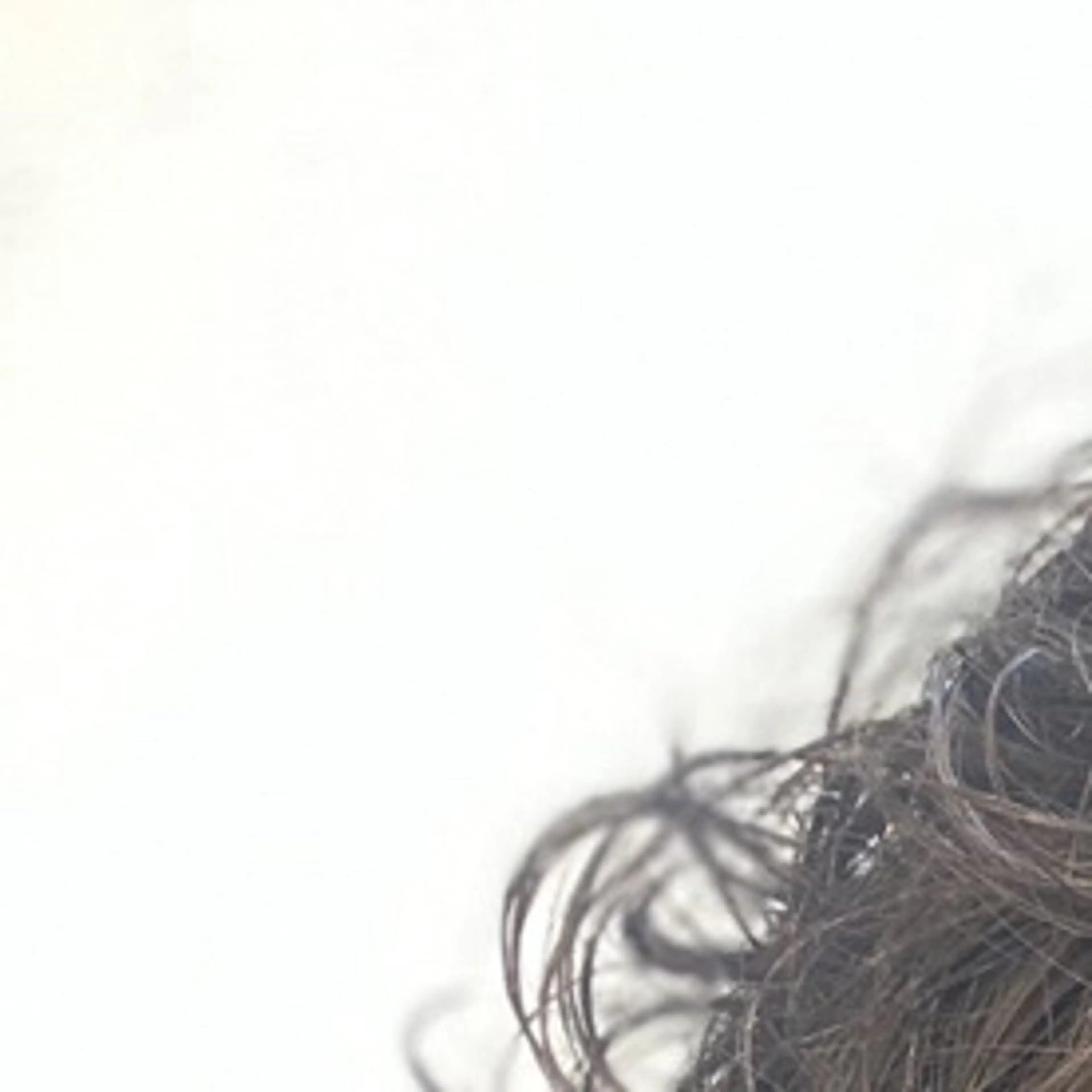 パーマ メンズ Million Bucks barber shop所属・カットモデル募集 いさかのヘアスタイル