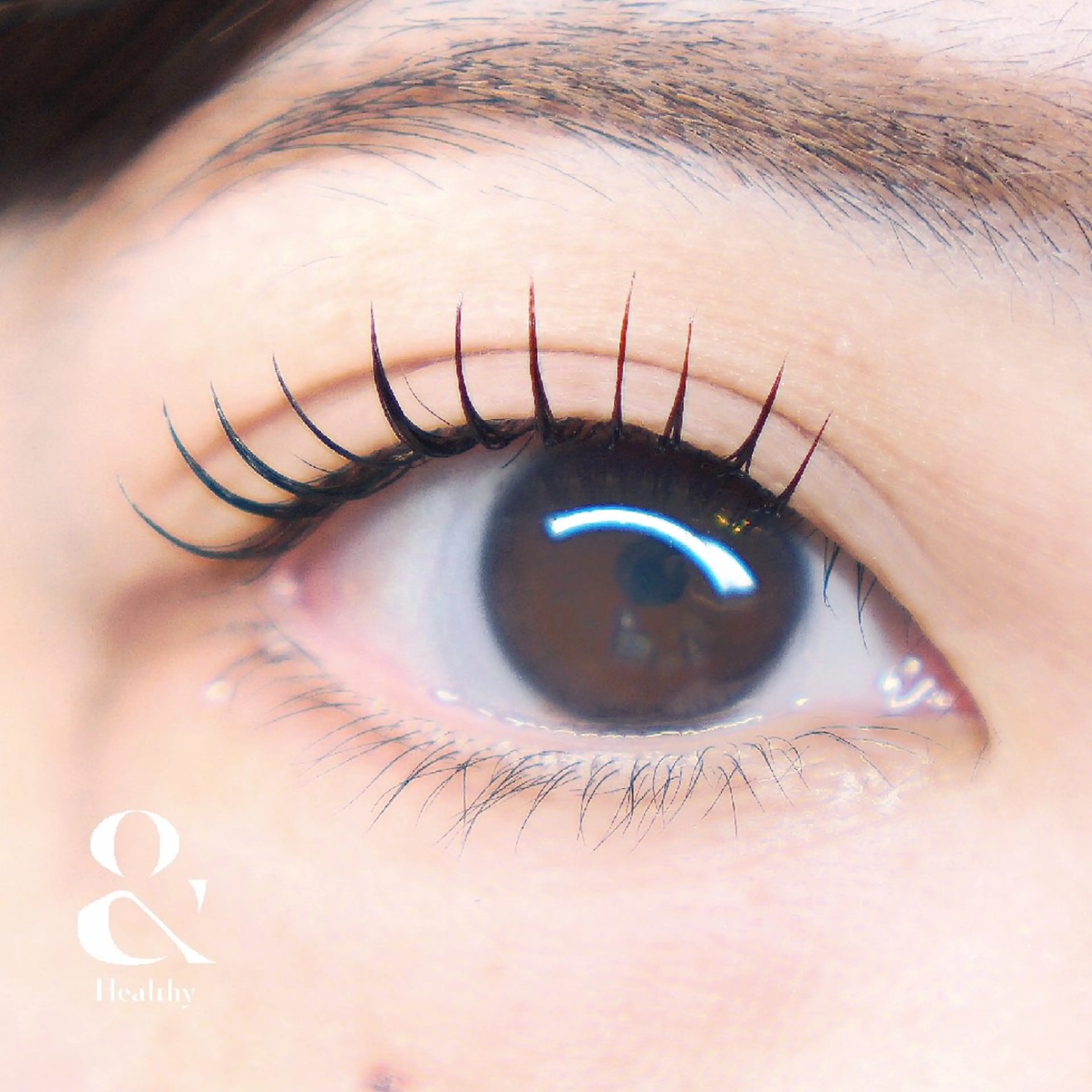 &Healthy アンドヘルシー 140本の写真