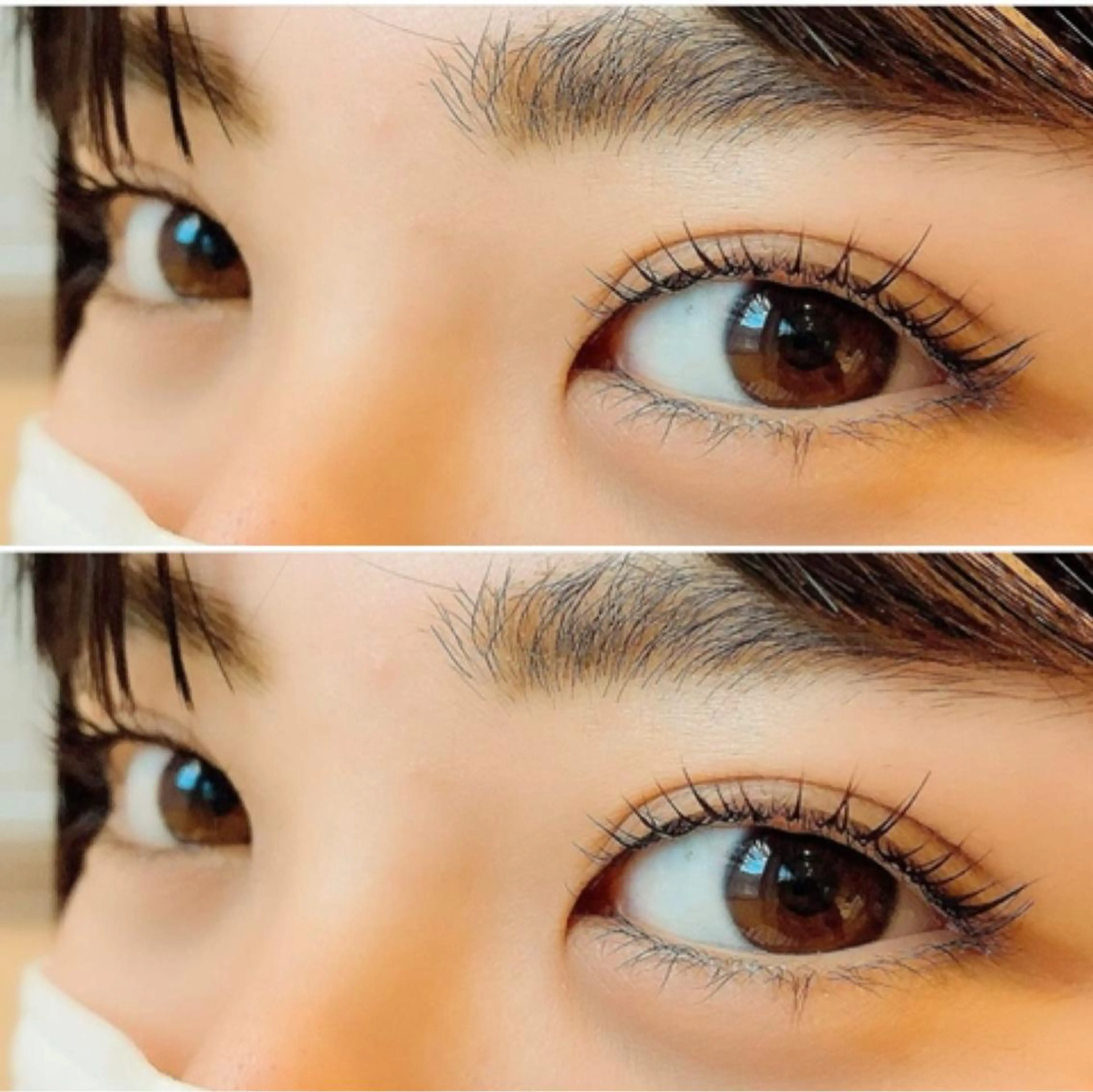 【平日限定】次世代まつ毛パーマの写真