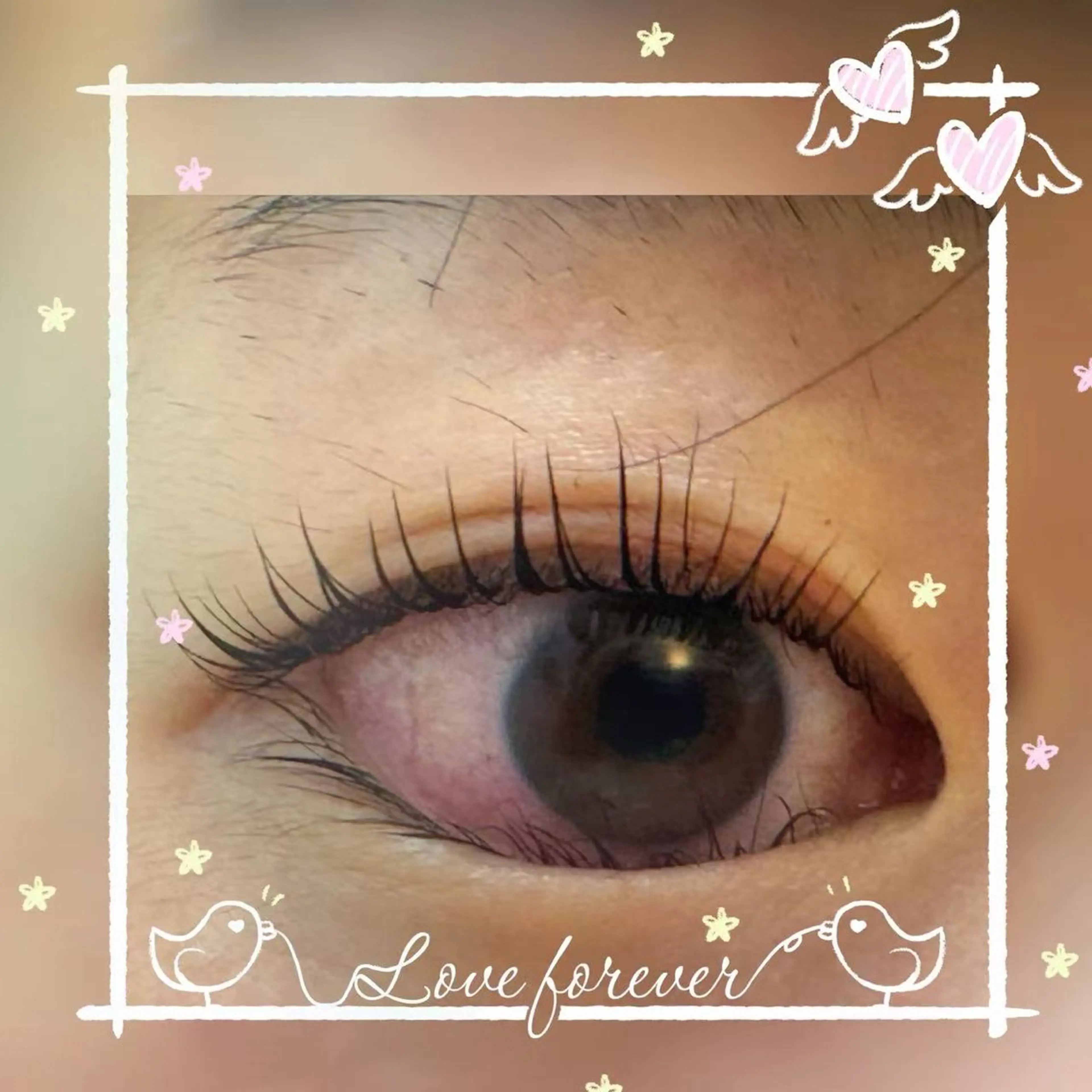 マツエク・マツパ BEL EYE BEAUTYジュンのマツエク・マツパデザイン