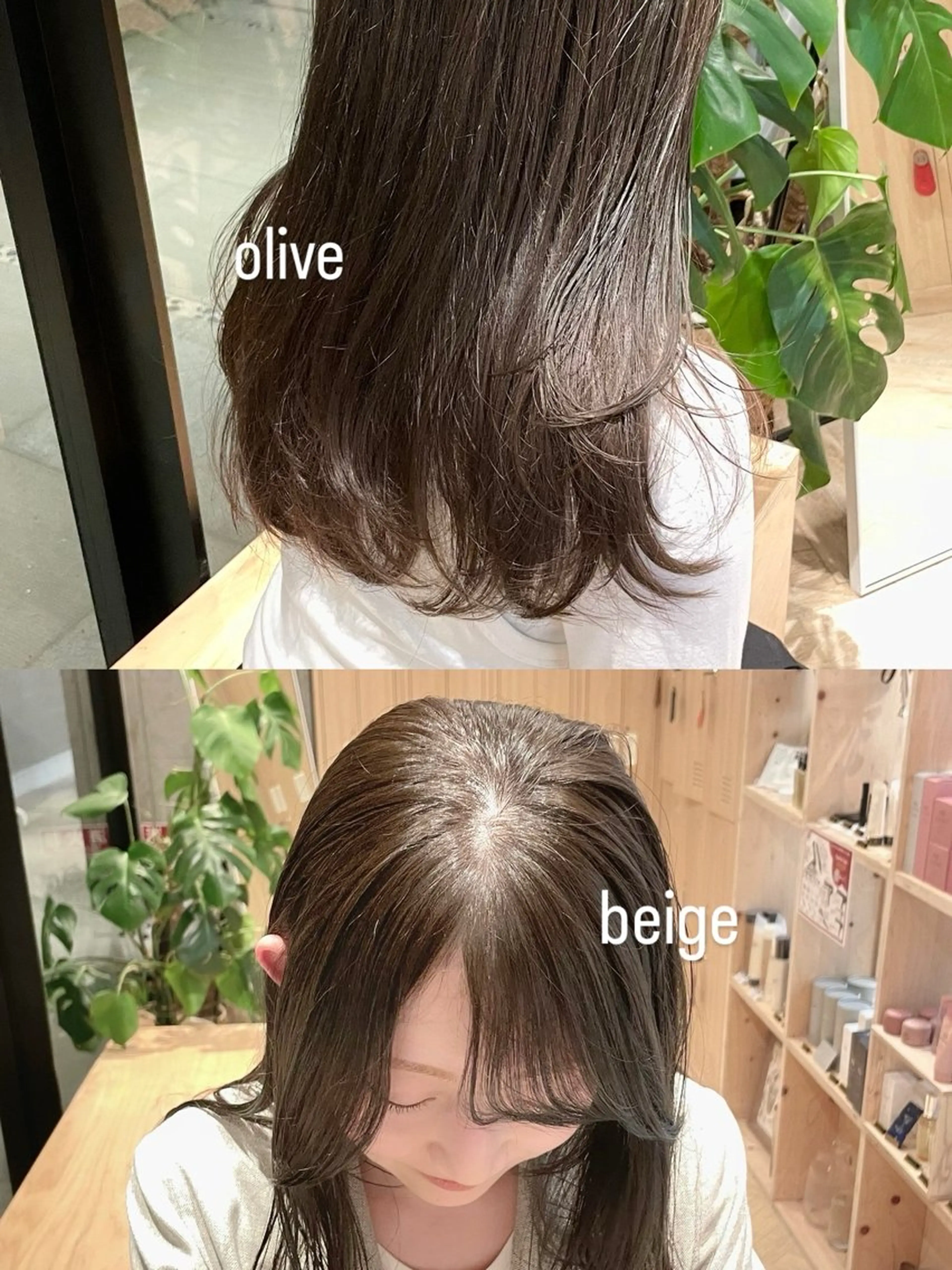 ミディアム カット ヘアカラー トリートメント レイヤー/透明感 /ベージュ/りほ🤍のヘアスタイル