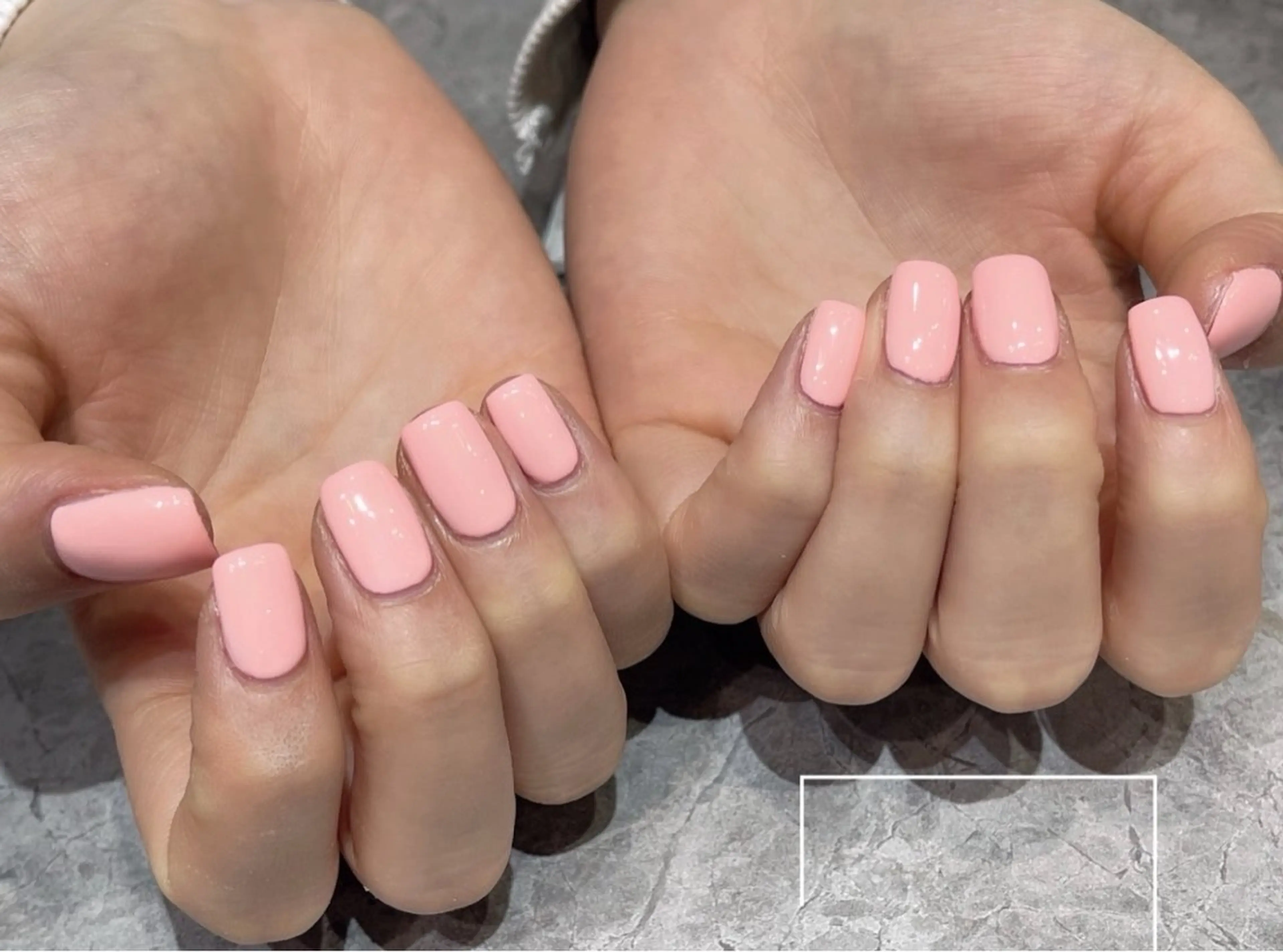 ワンカラーの写真