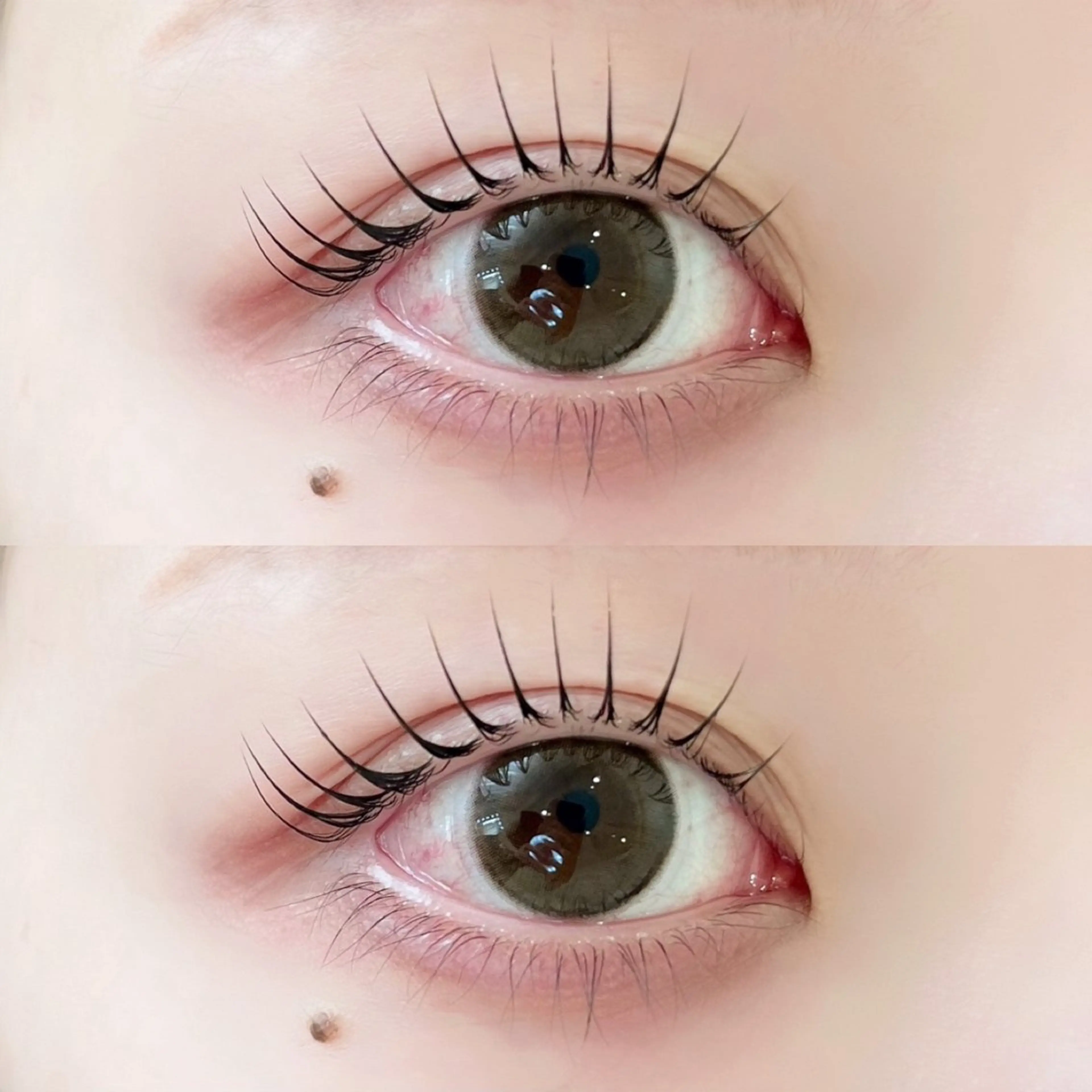 パリジェンヌ/まつ毛パーマ🤍{内部補修トリートメント付き}の写真