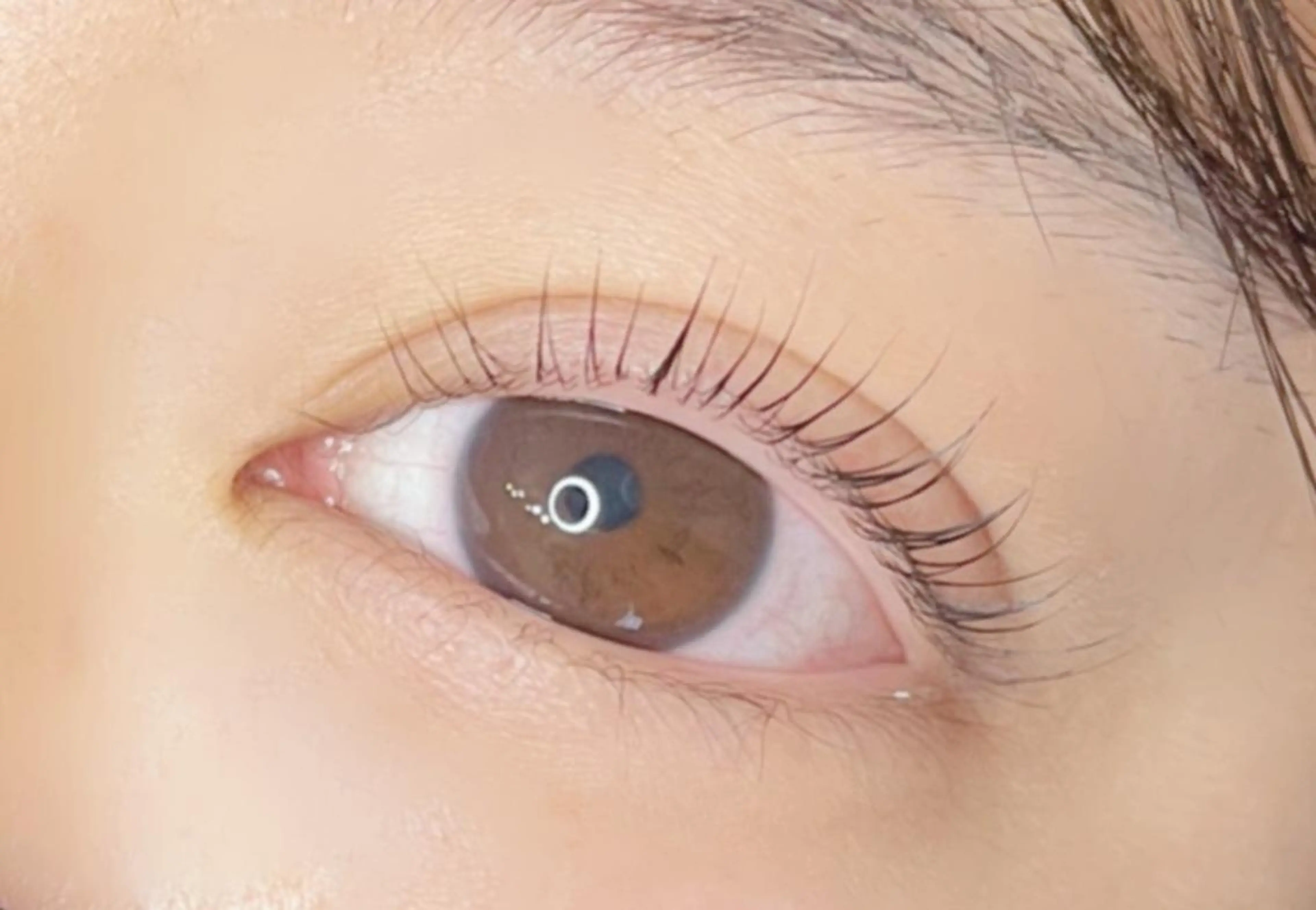 マツエク・マツパ 《eyelash ｉｉｔｅ》森のマツエク・マツパデザイン
