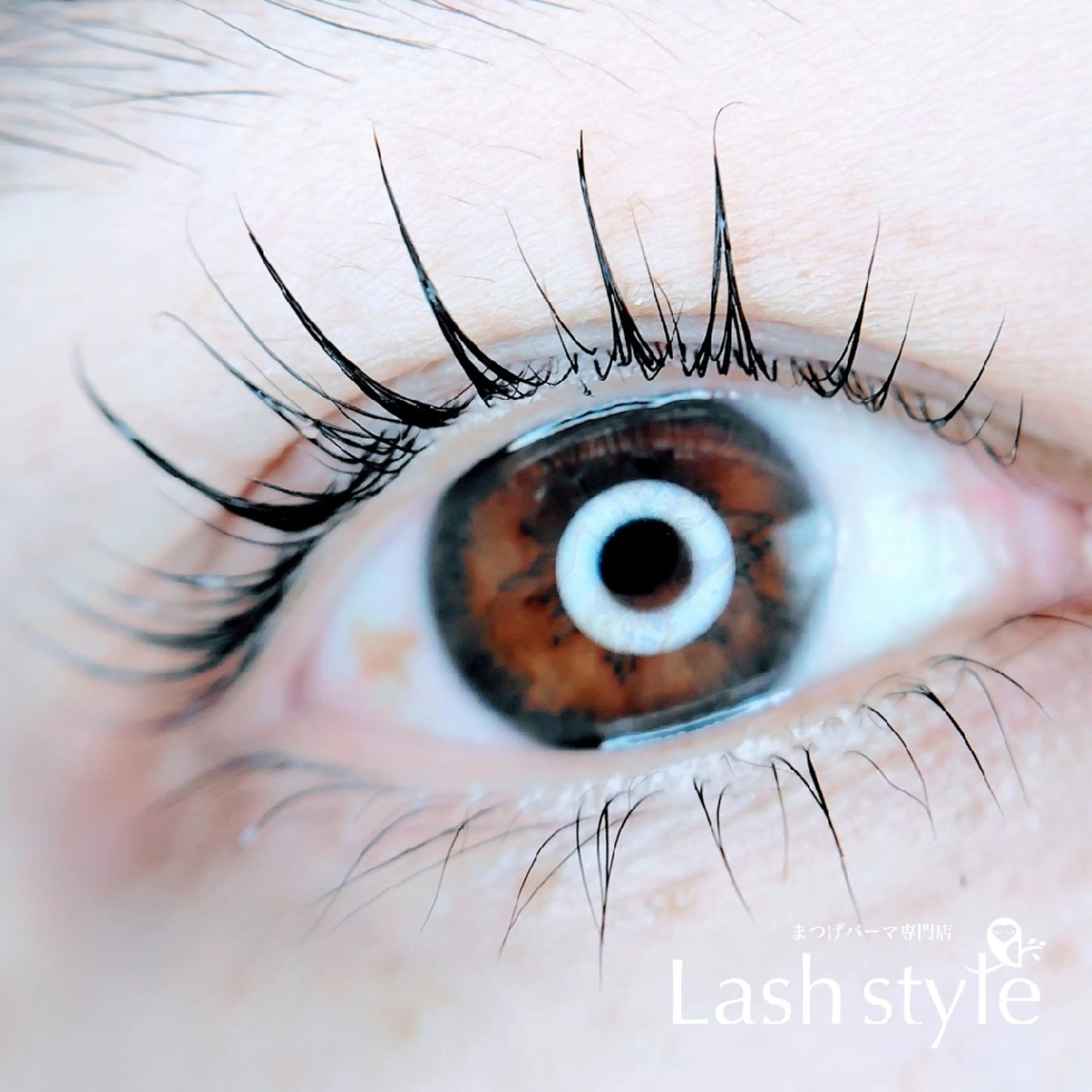 マツエク・マツパ まつげパーマ専門店 Lash style by TONE所属・まつげパーマ専門店 Lash styleの眉毛・アイブロウイメージ