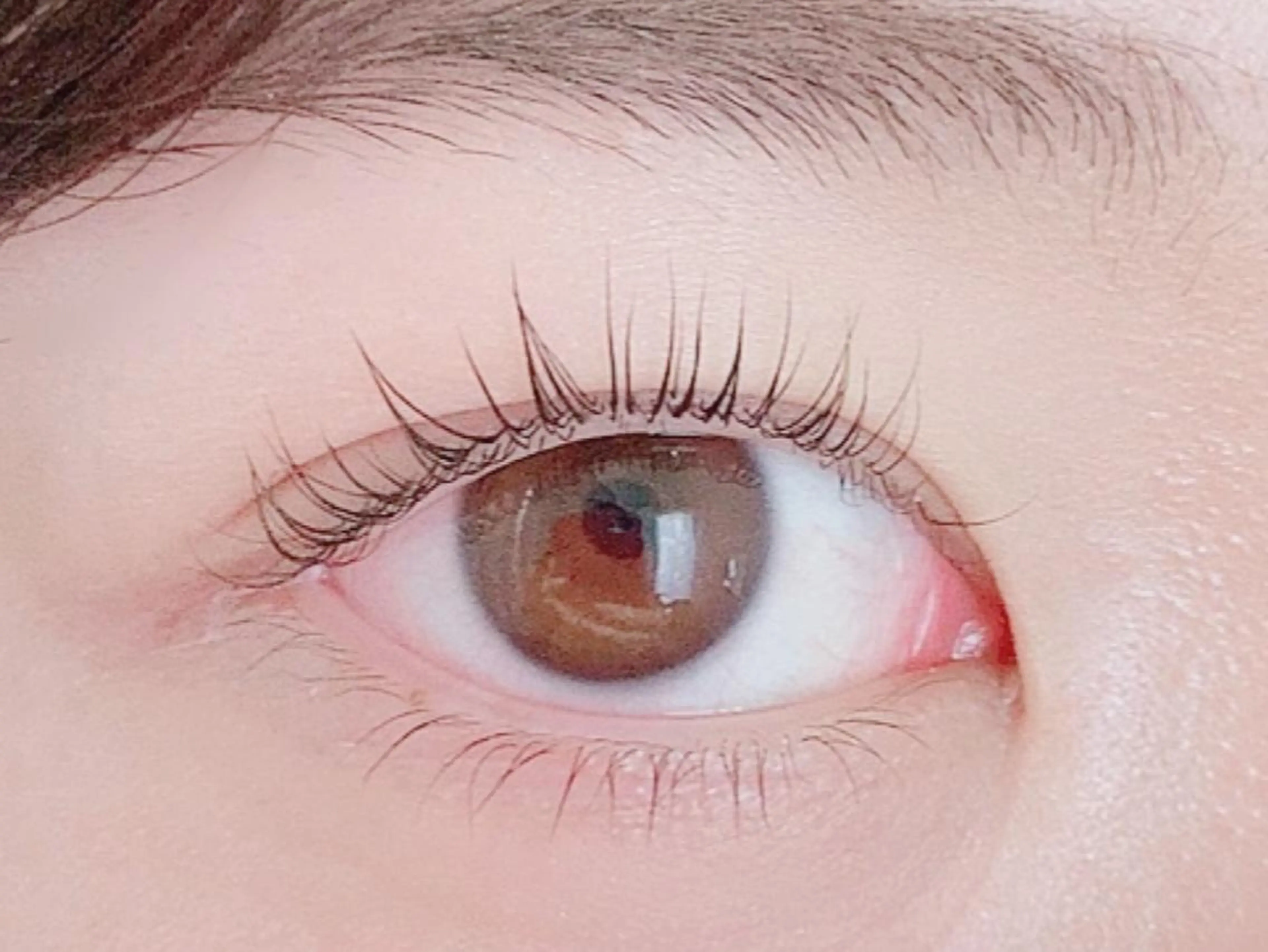 マツエク・マツパ マツパ トレヴァーデルチザン inuiのマツエク・マツパデザイン