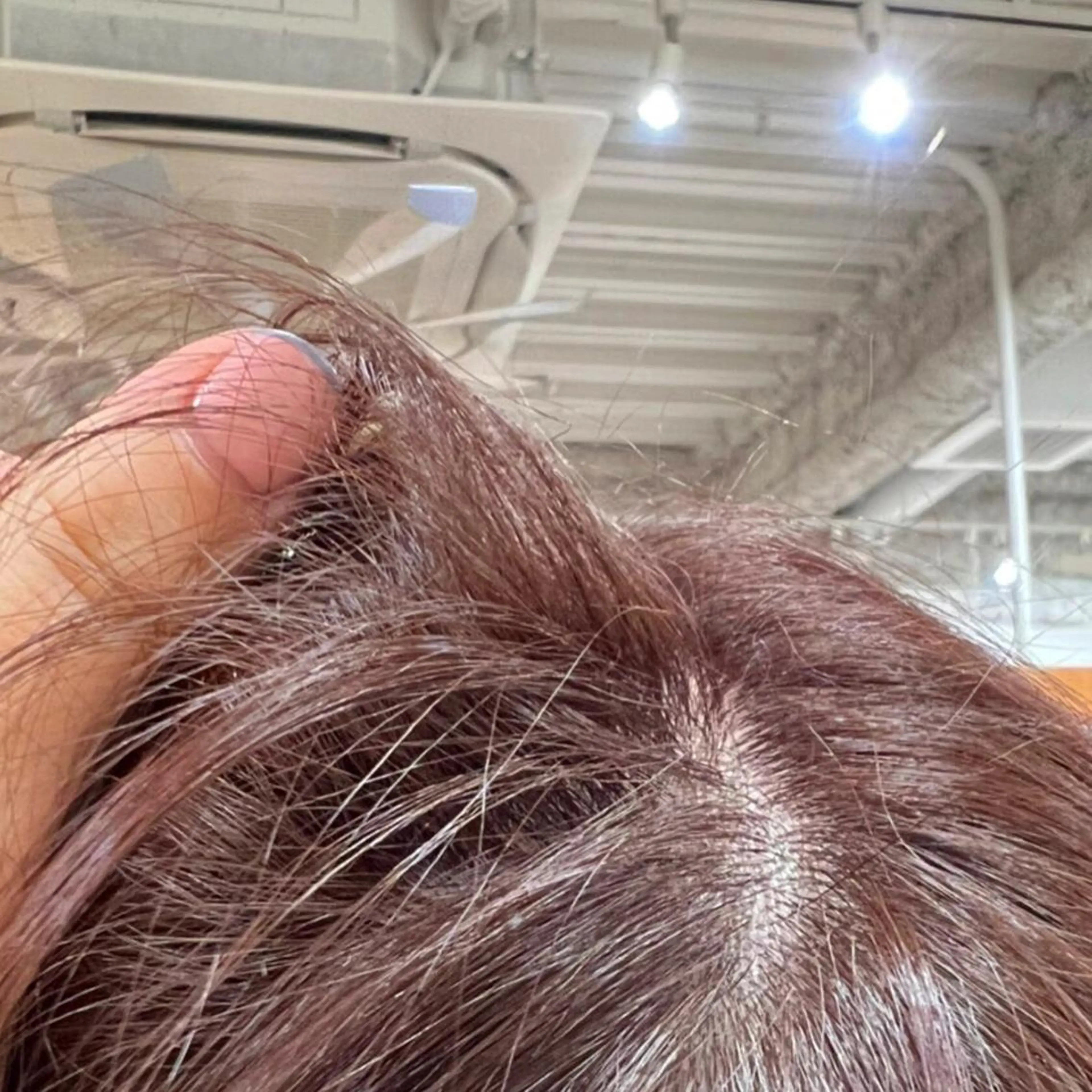 ショート KOCHAB 中村穂風のヘアスタイル