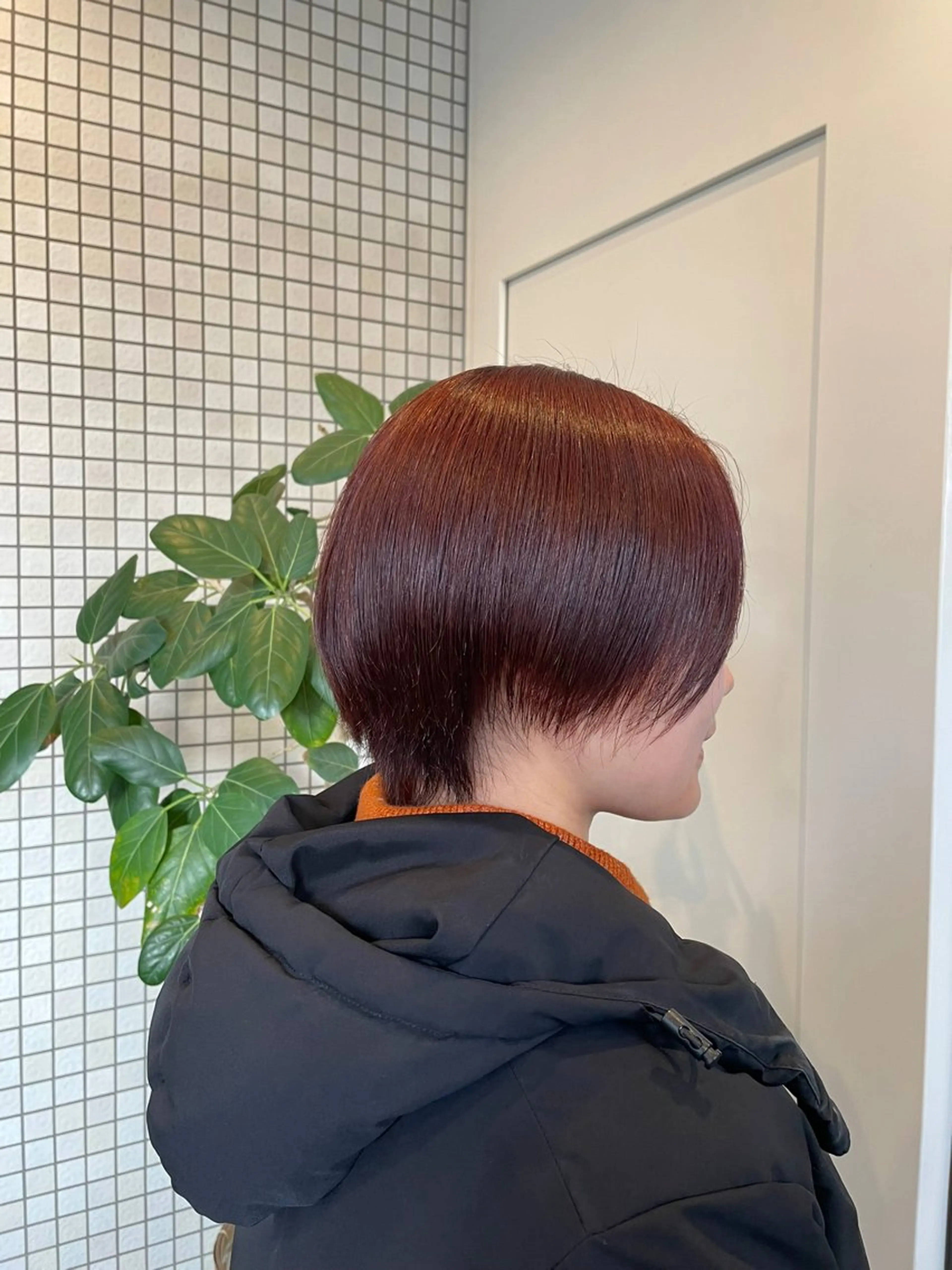 ショート カラー レッドカラー ヘアカラー 透明感カラー🪡🤍 nanao🤍🪡のヘアスタイル