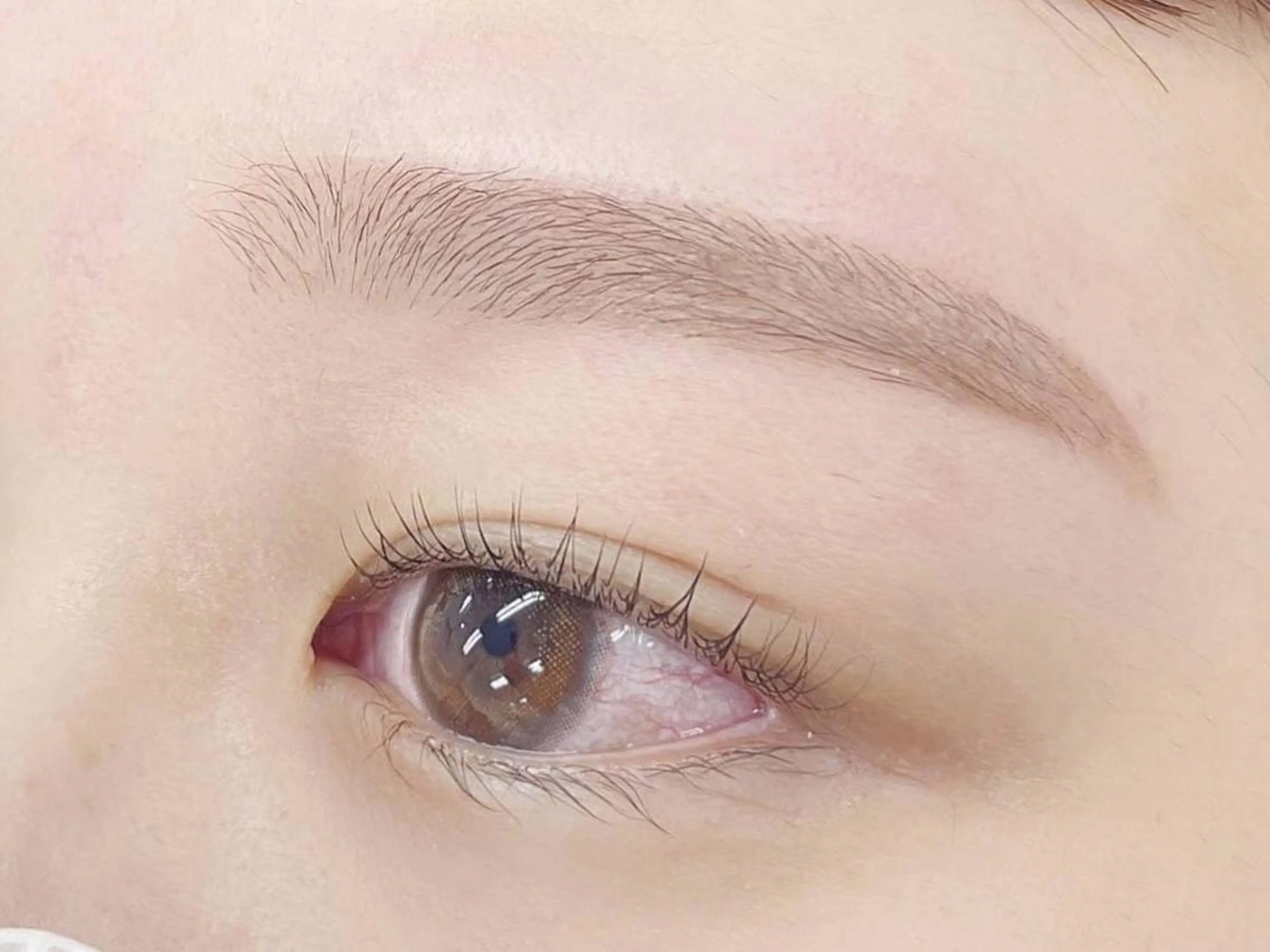 アイブロウ ワックス脱毛 その他(アイブロウ) ナチュ眉🫧 minoriの眉毛・アイブロウイメージ